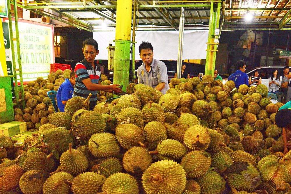 Durian Ucok