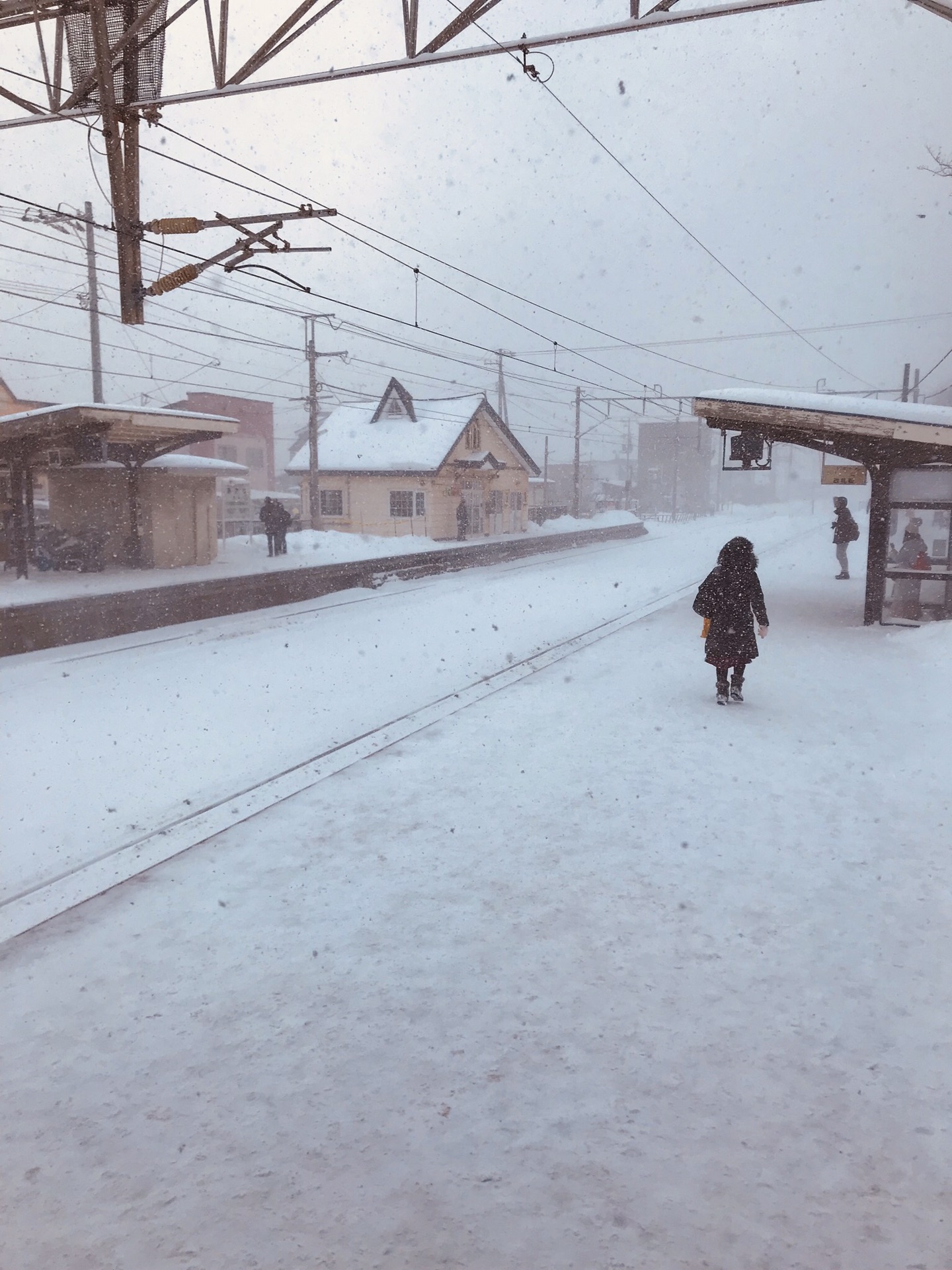 札幌自助遊攻略