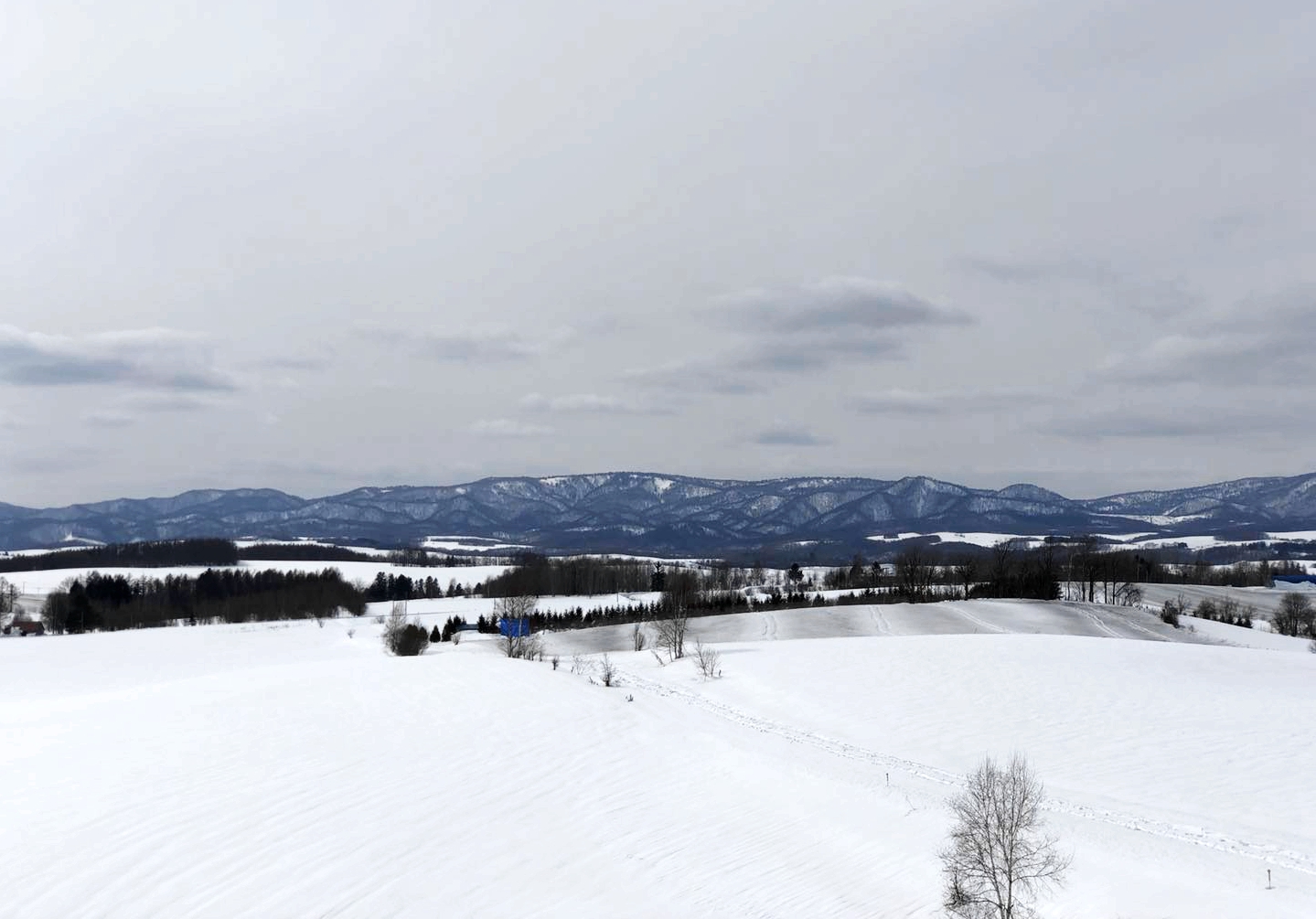 北海道自助遊攻略