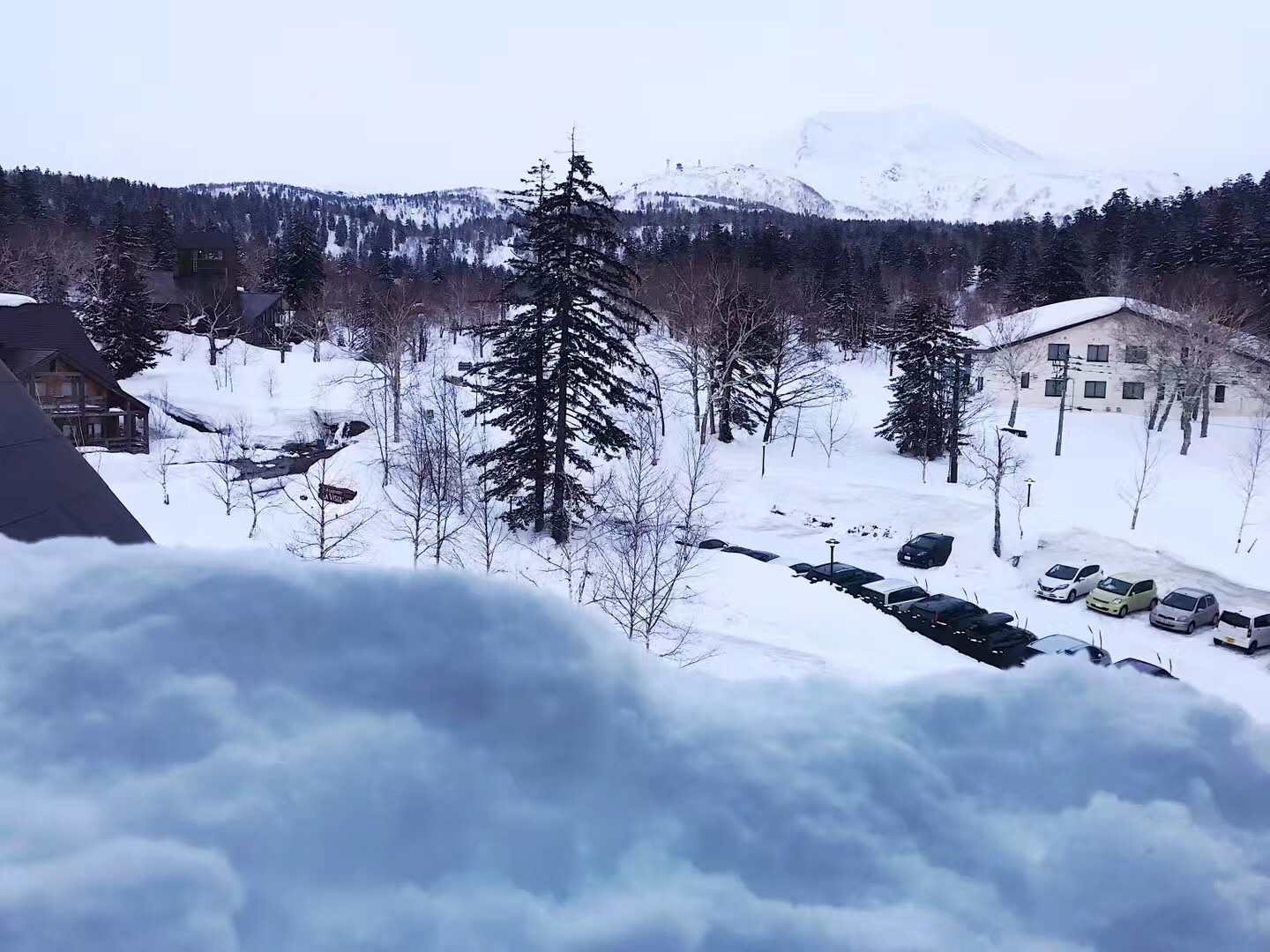 北海道自助遊攻略