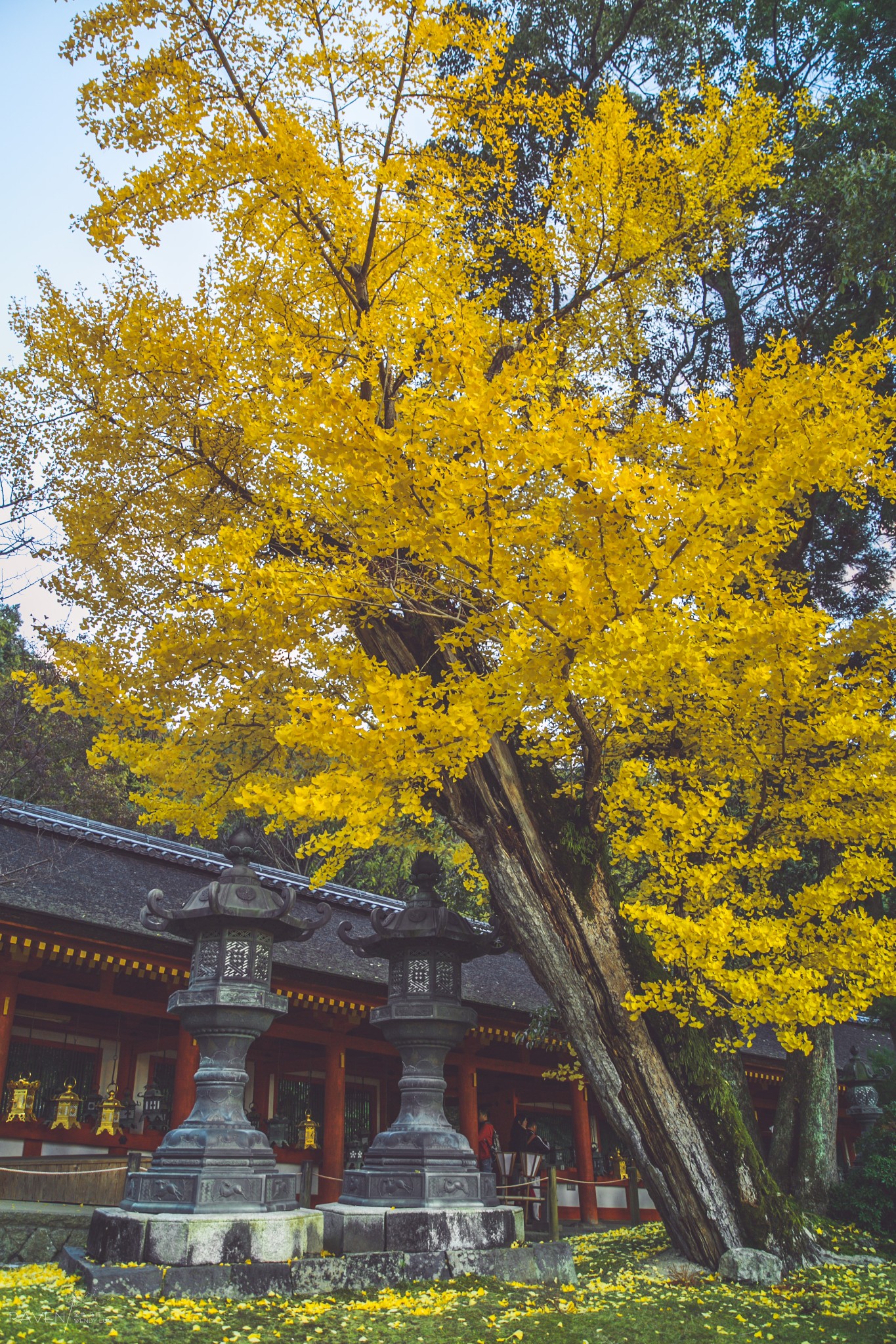 京都自助遊攻略