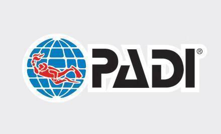 四,为什么选择padi