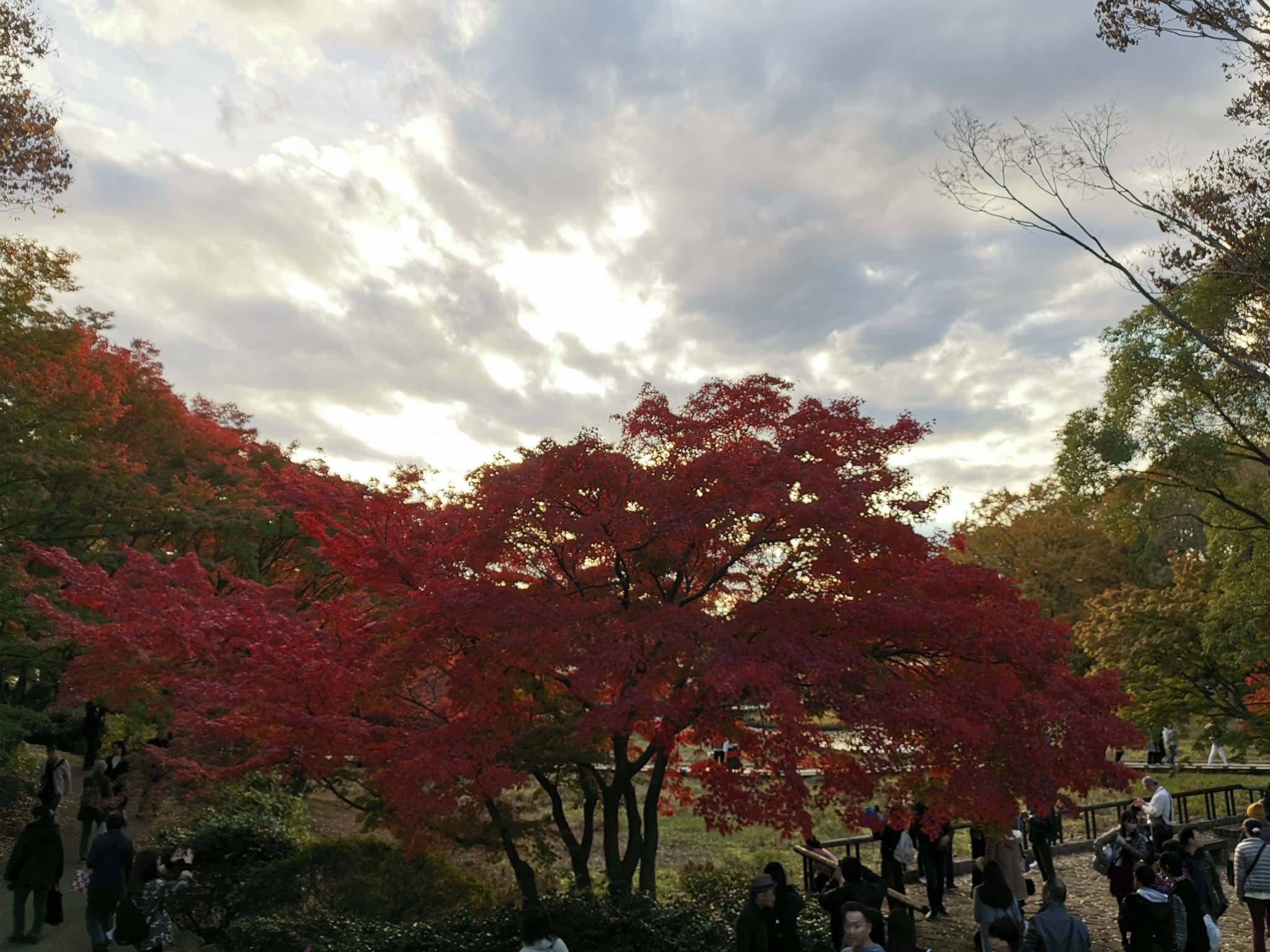 東京自助遊攻略