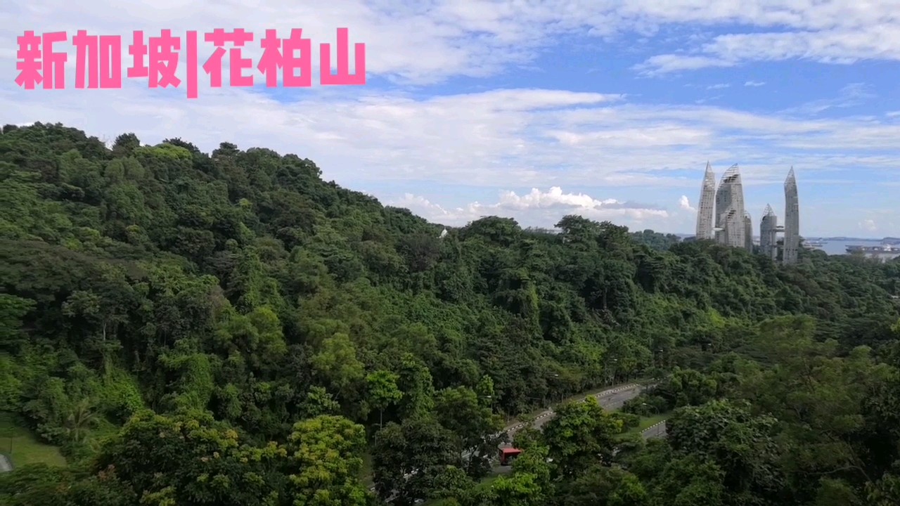 花柏山公园攻略 花柏山公园门票 地址 花柏山公园景点攻略 马蜂窝