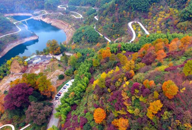 浙江 自由行攻略 四明山,也稱金鐘山,有龍虎山