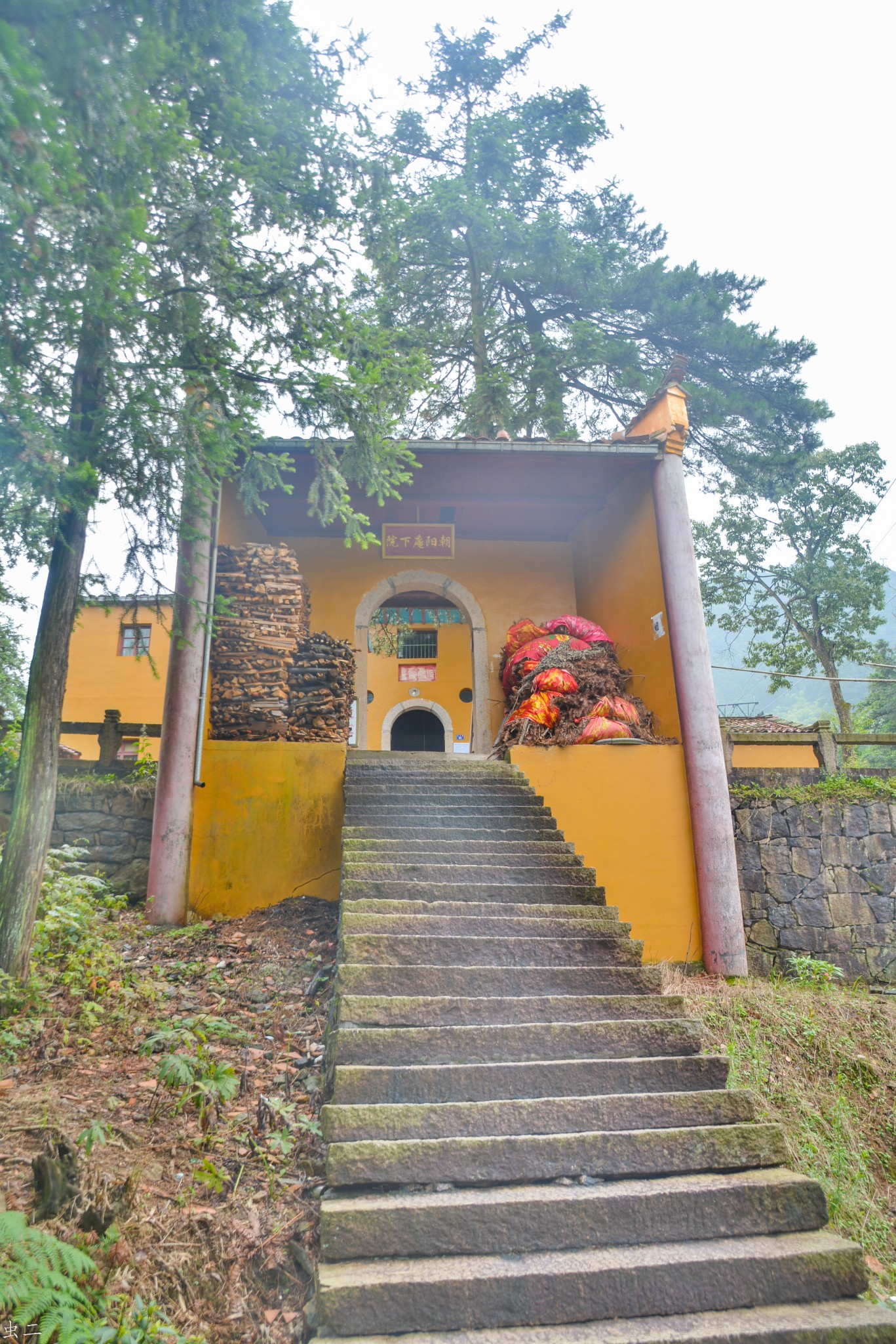 九華山(13)普濟庵 金剛寺 大金剛寺 藥師茅蓬 慈佛精舍 九蓮精舍 朝陽