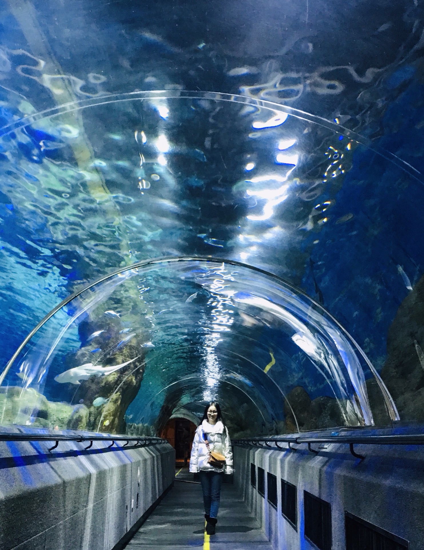 大連聖亞海洋世界四館星海廣場