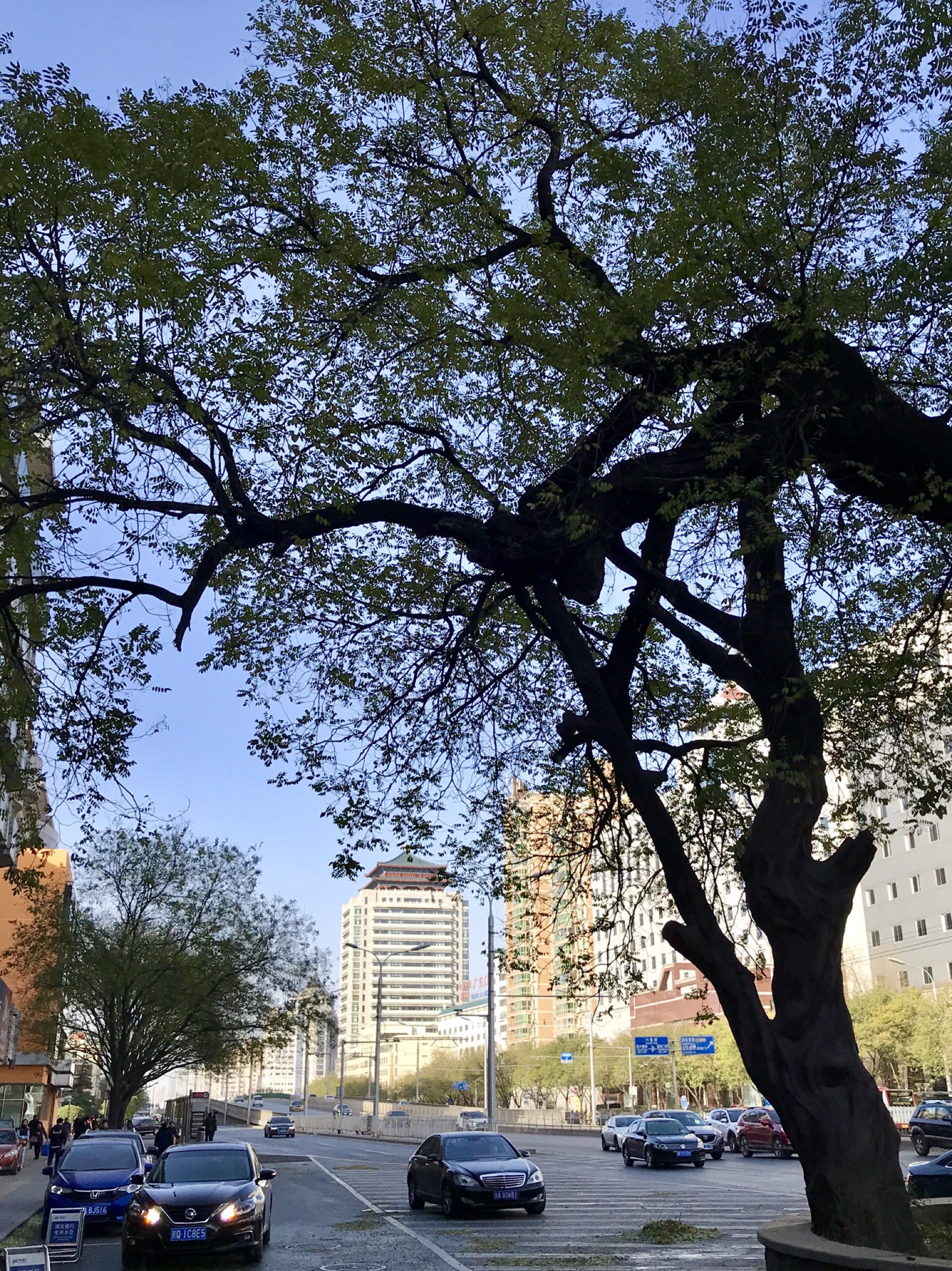 北京美食-港中旅维景国际大酒店咖啡厅