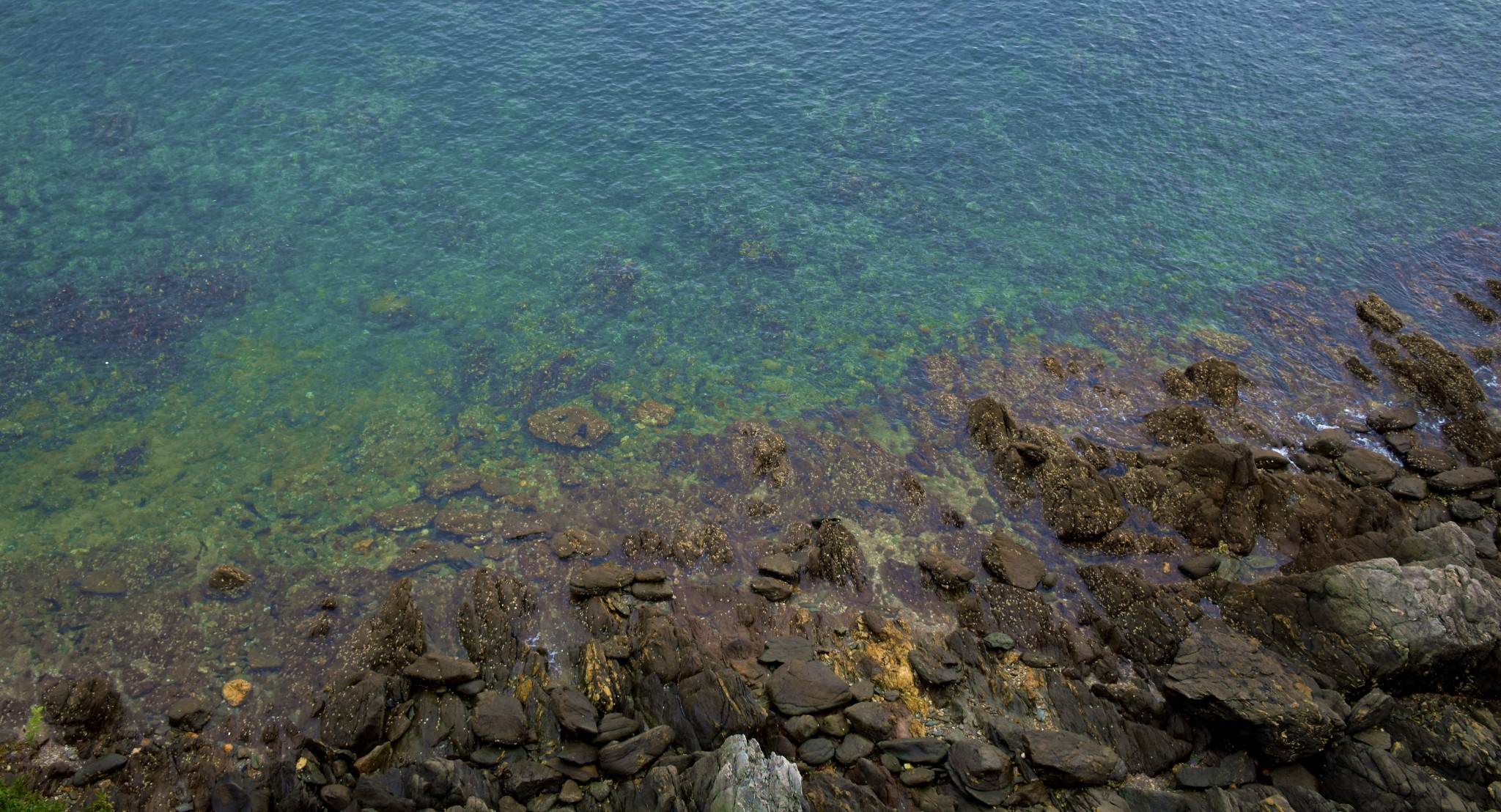 海島的風都是夏天的味道---18年夏末,感恩遇見你-大長山島