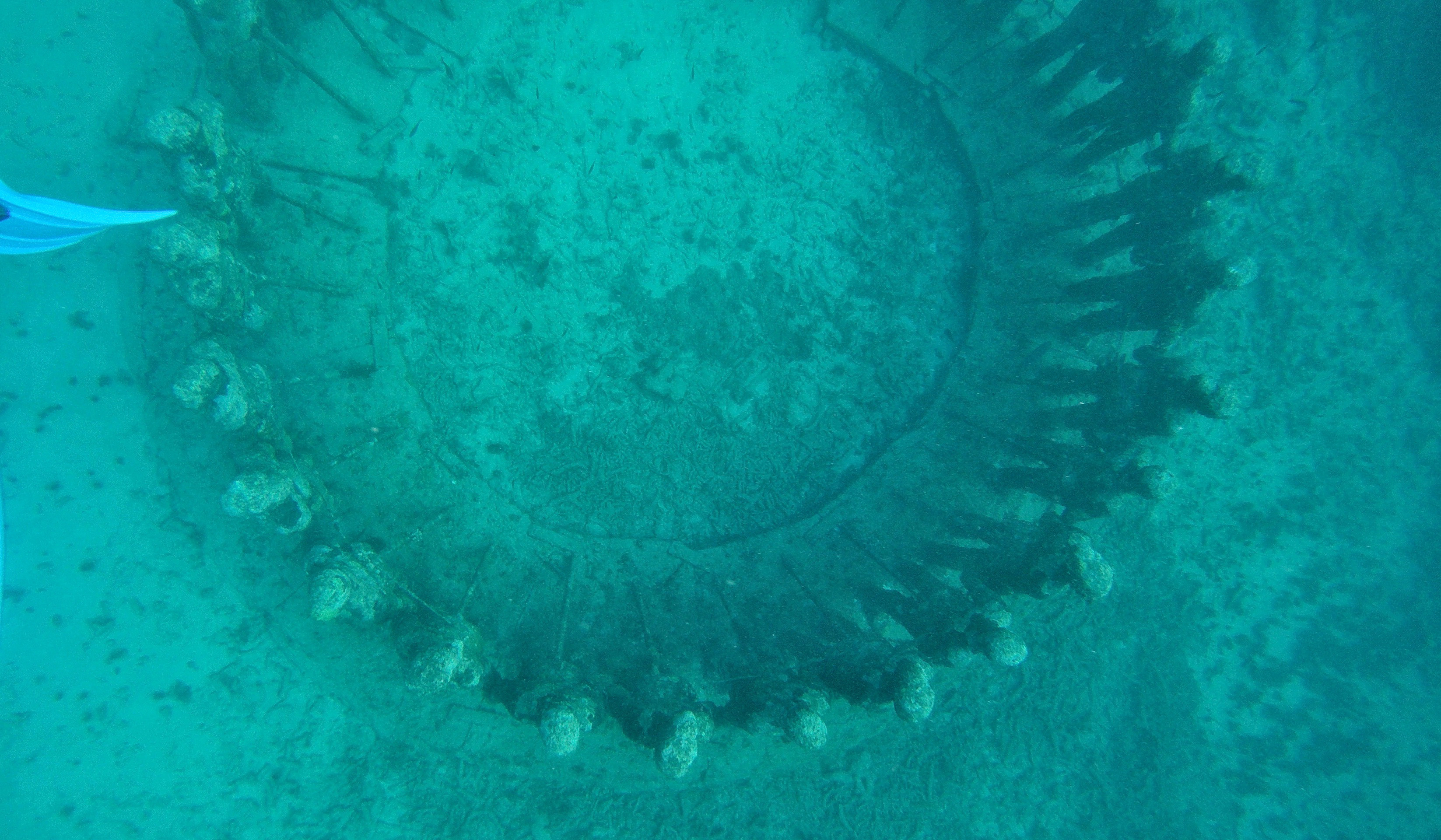 Underwater Sculptures