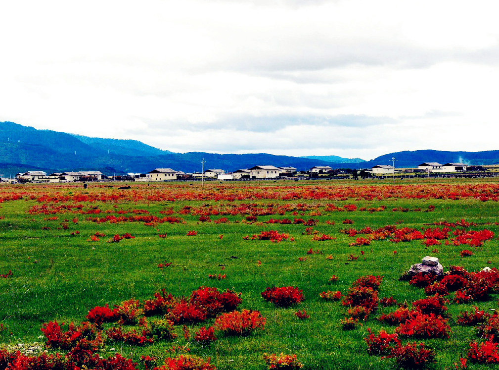 香格里拉最神秘惊艳的莫过于纳帕海与依拉草原