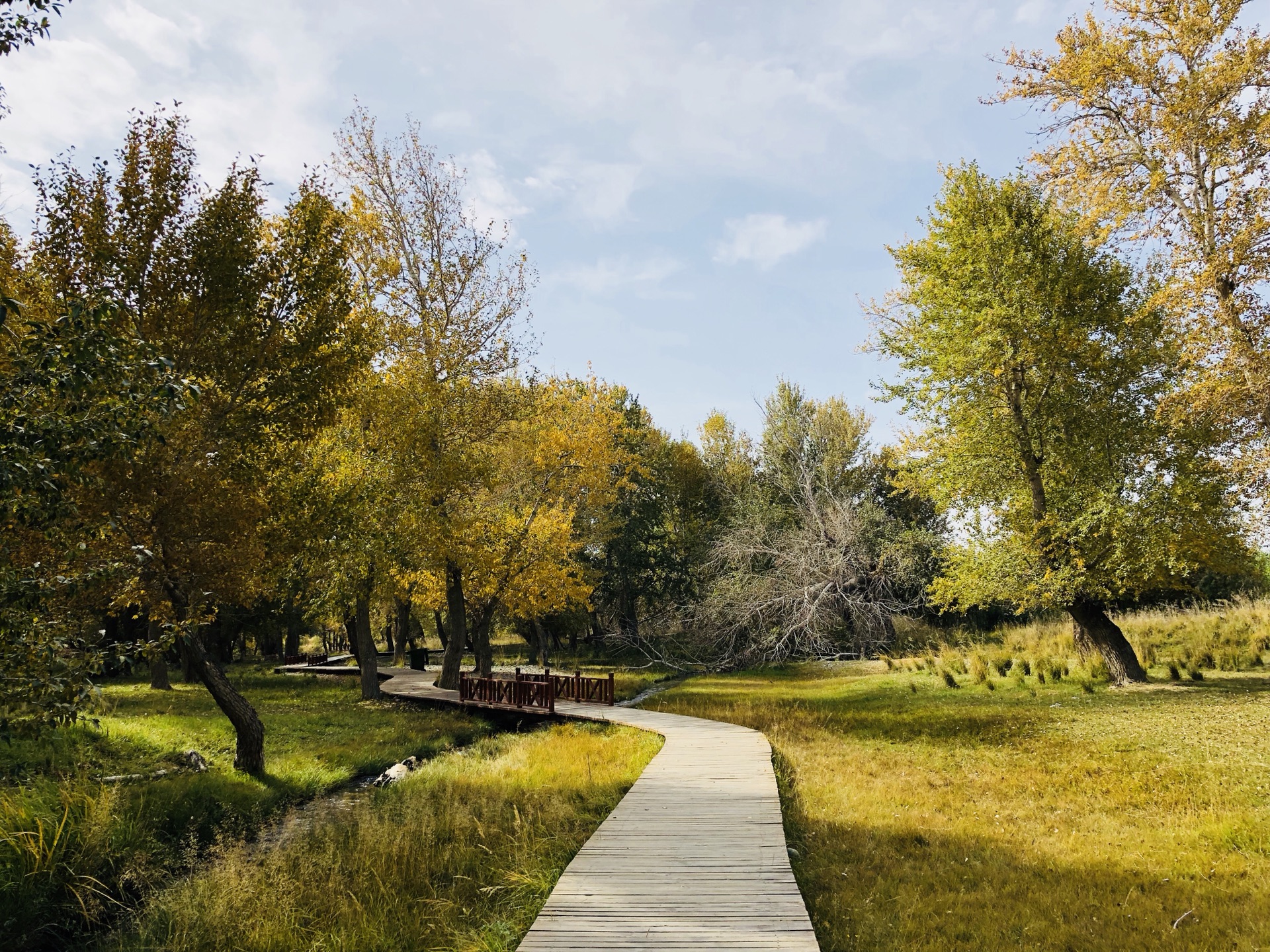 迷人秋色 东沟徒步半日游