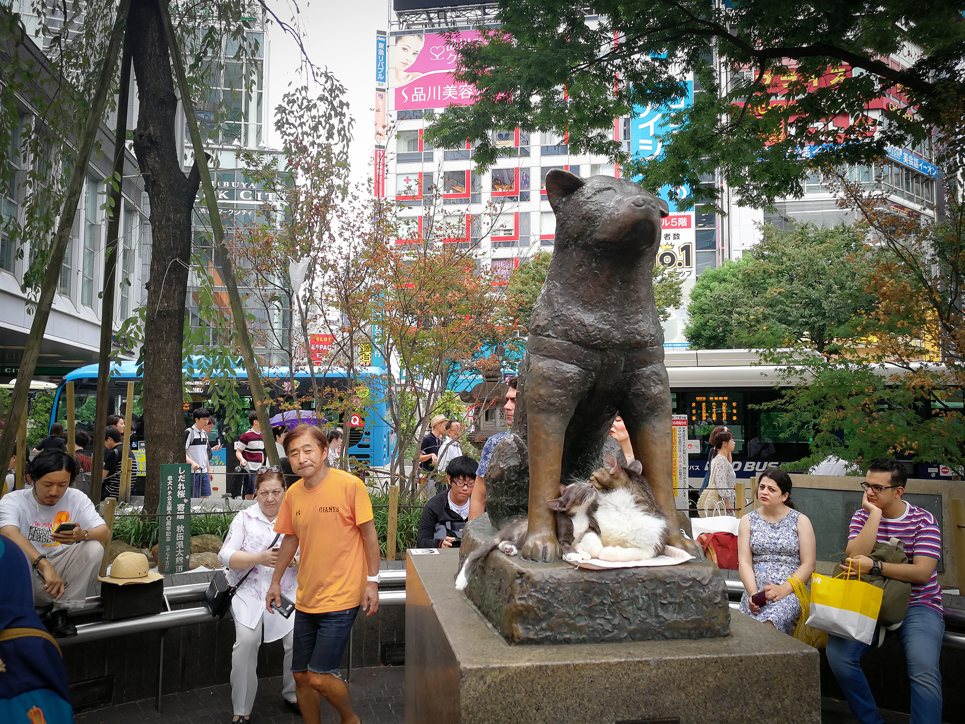 東京自助遊攻略