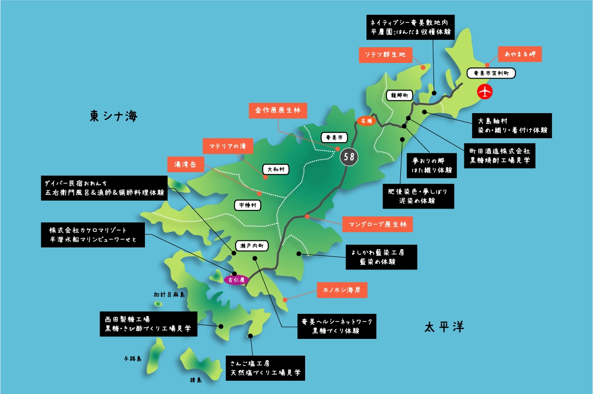 小众景点 在日本奄美大岛不可错过的五大体验