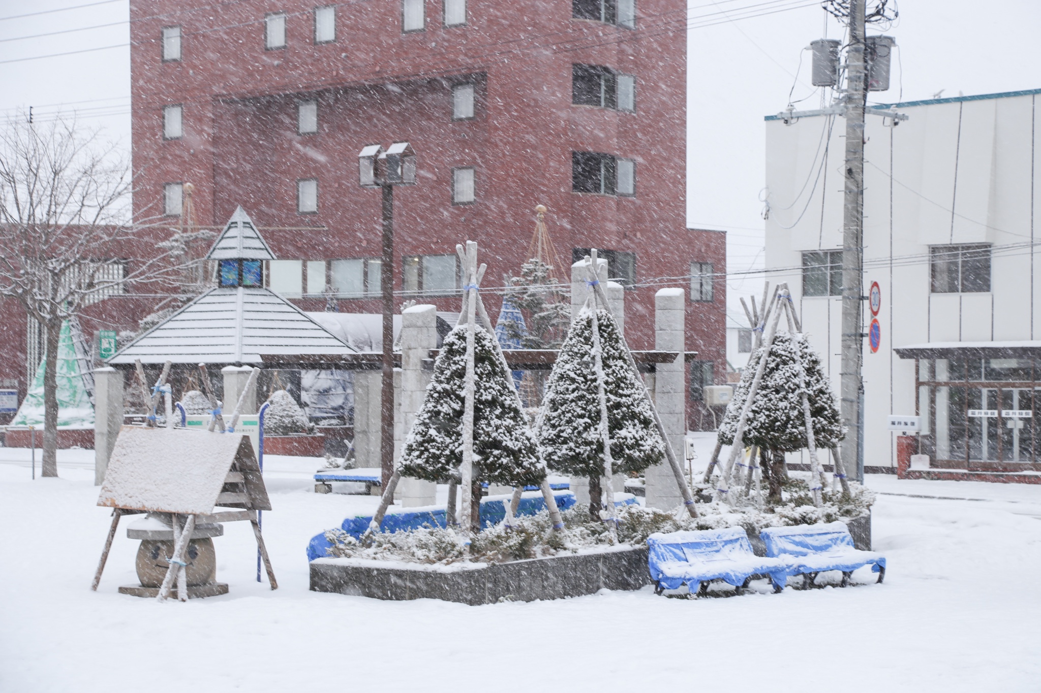 北海道自助遊攻略