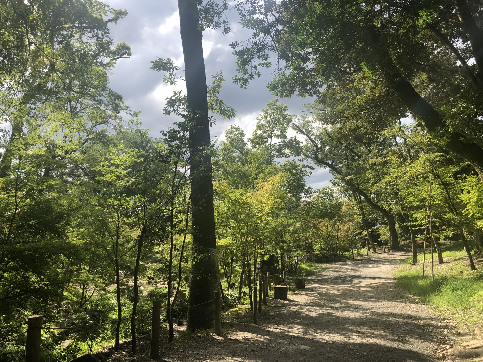 京都自助遊攻略