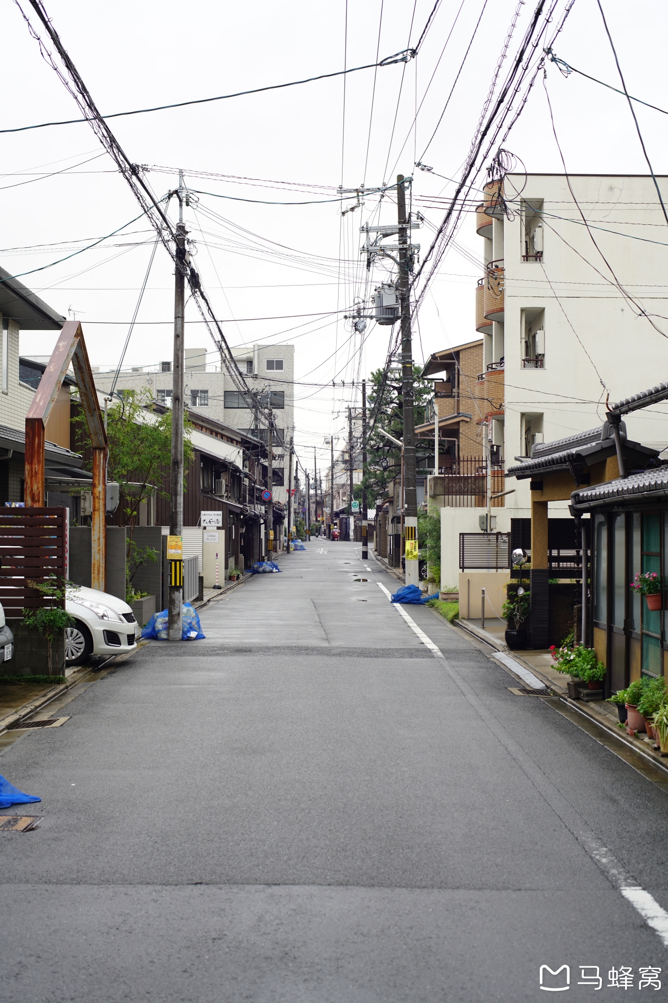 京都自助遊攻略