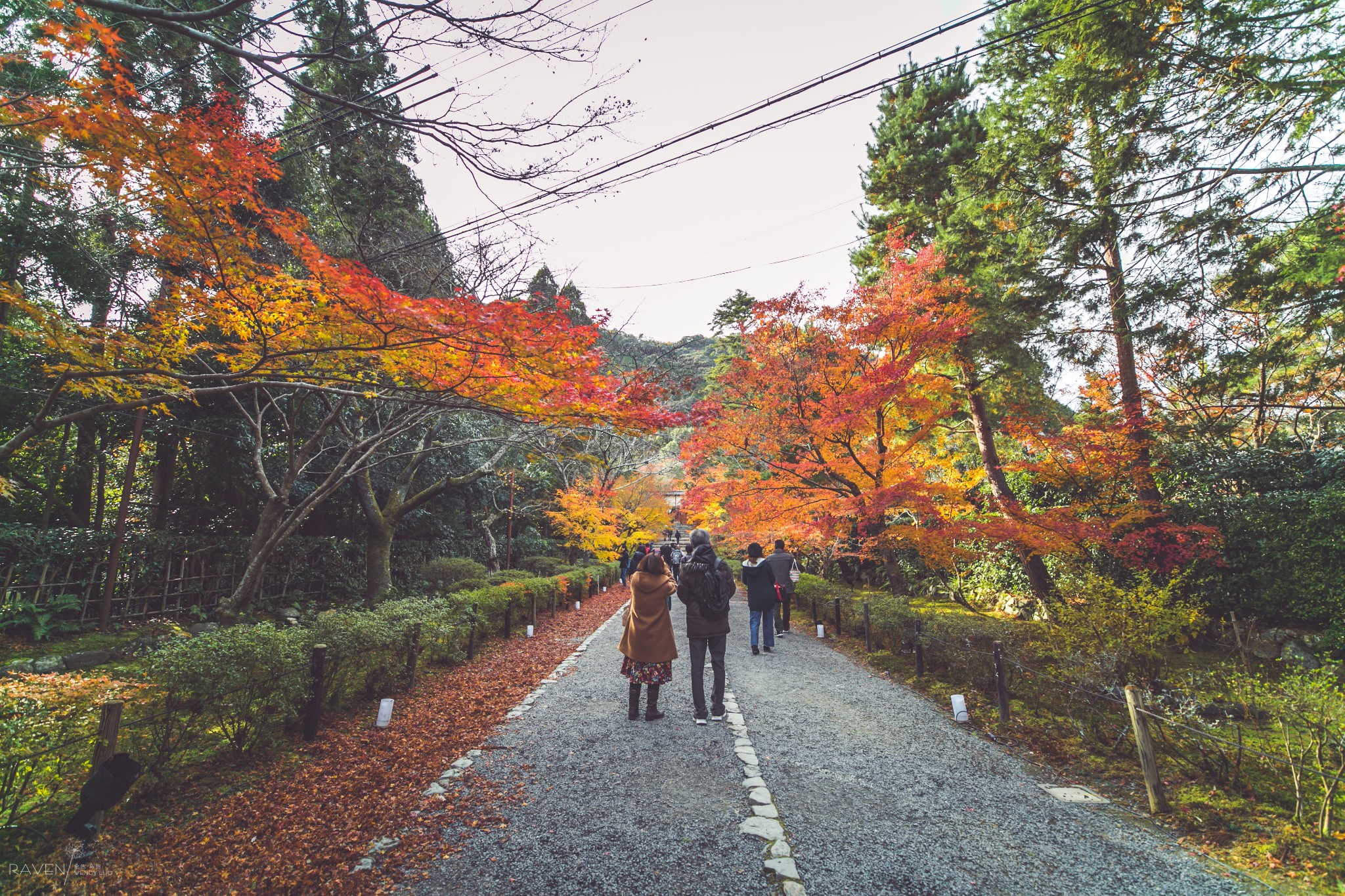 京都自助遊攻略