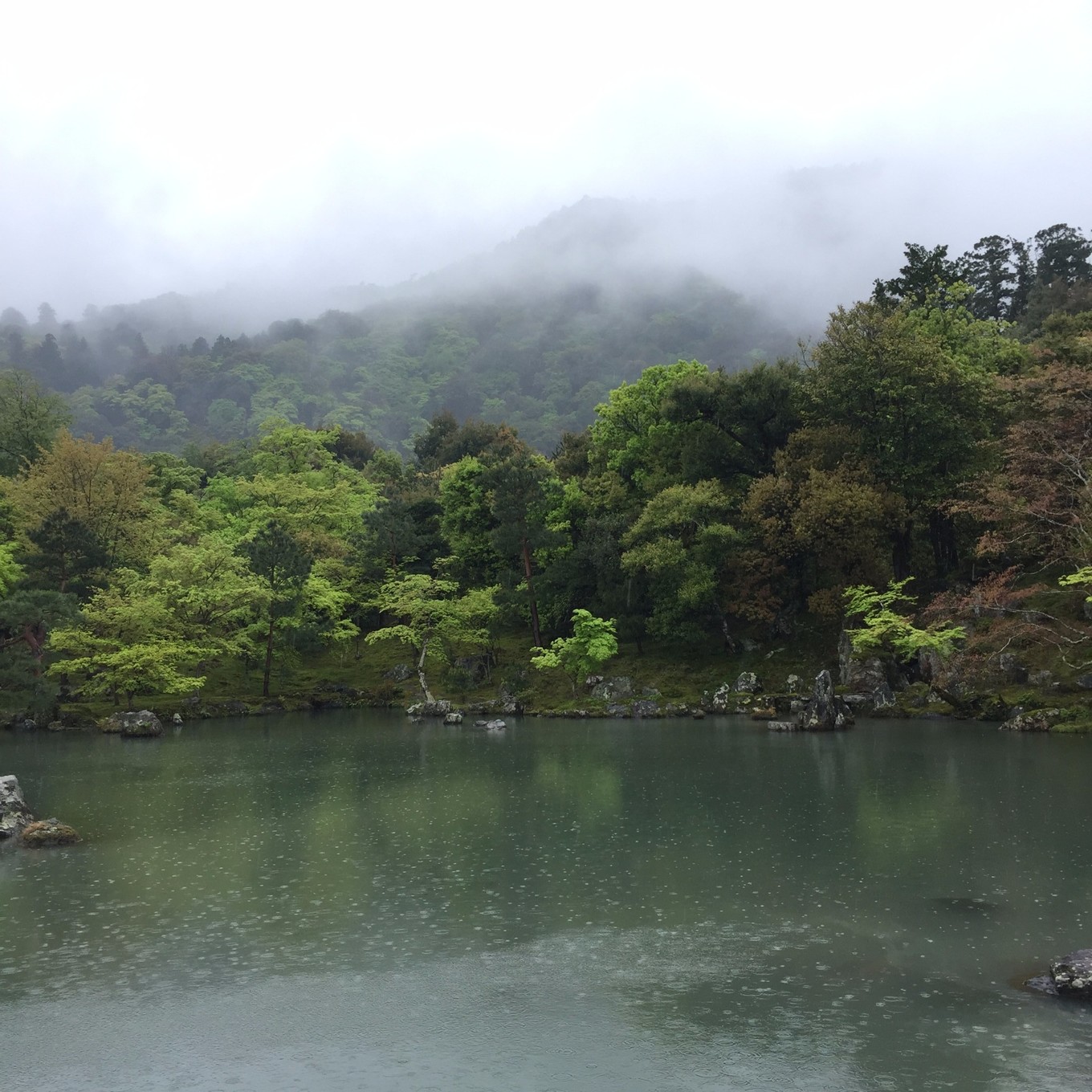 京都自助遊攻略