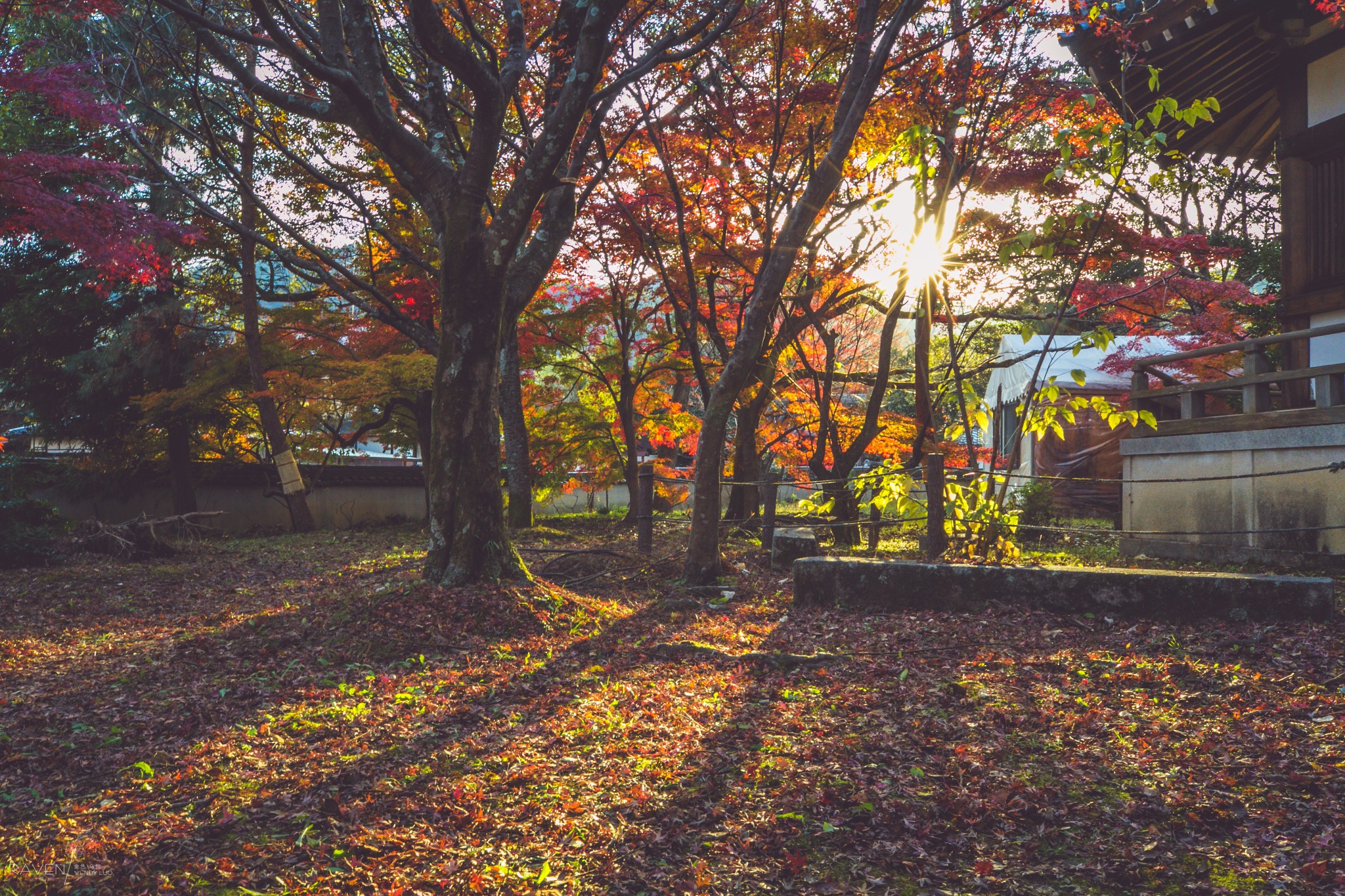 京都自助遊攻略