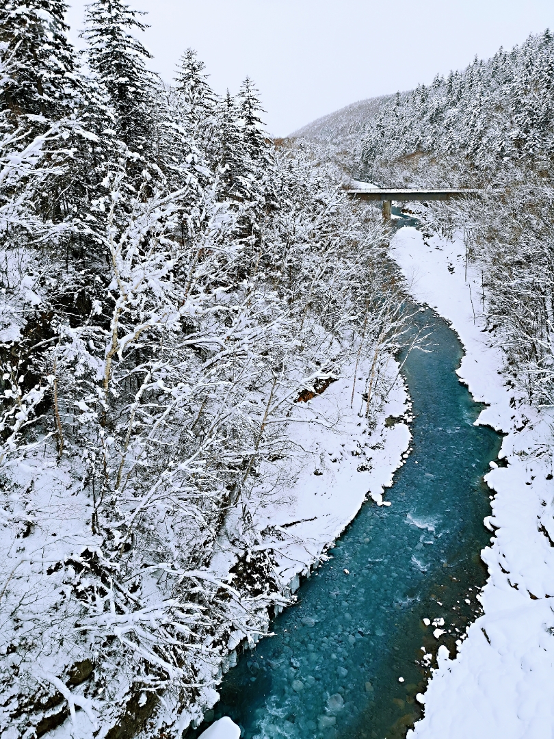 北海道自助遊攻略