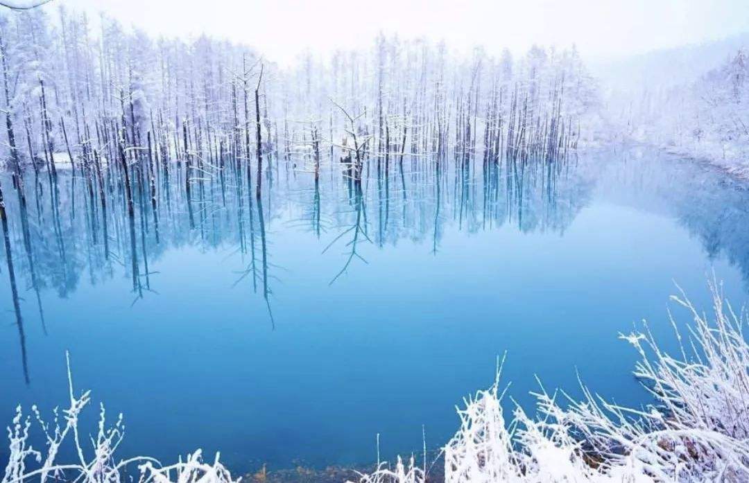 北海道自助遊攻略