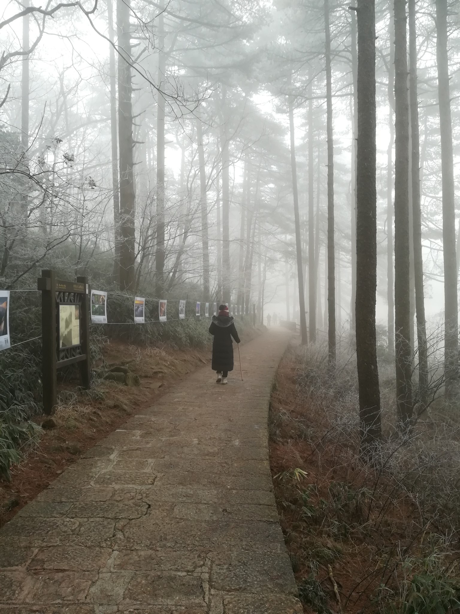 黃山自助遊攻略