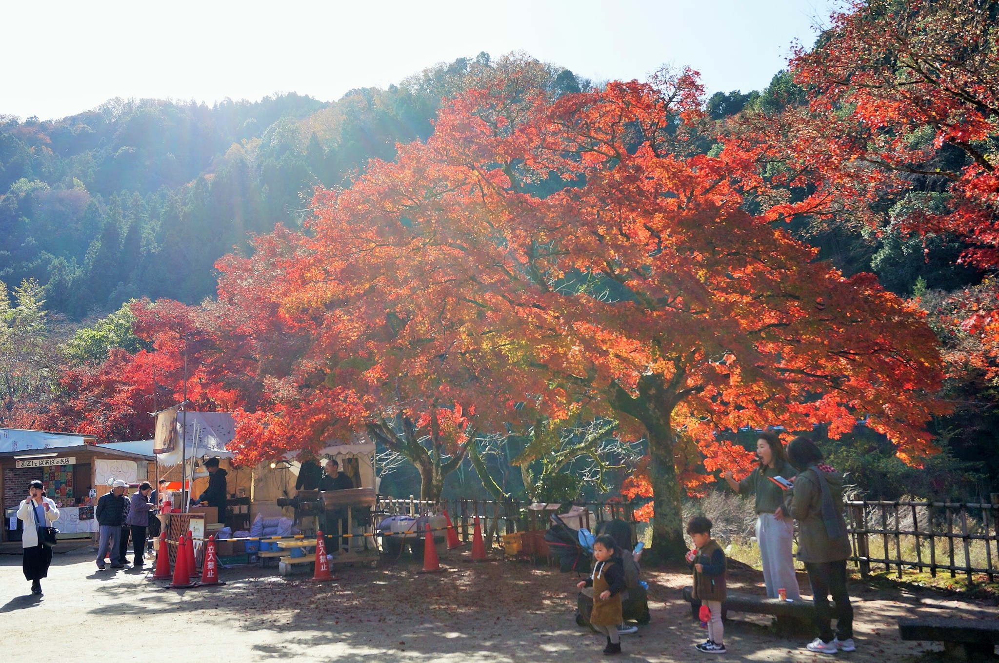 名古屋自助遊攻略