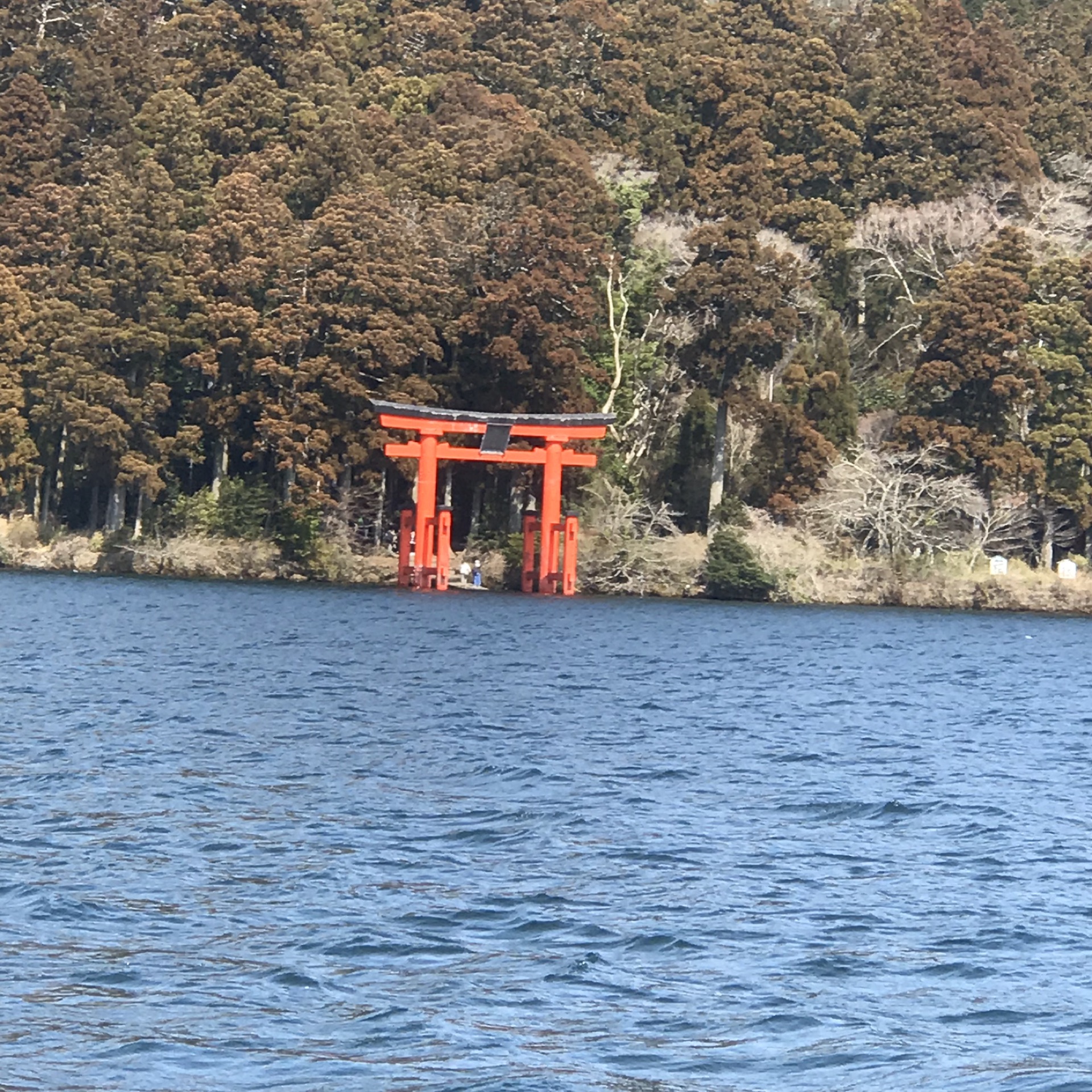 東京自助遊攻略