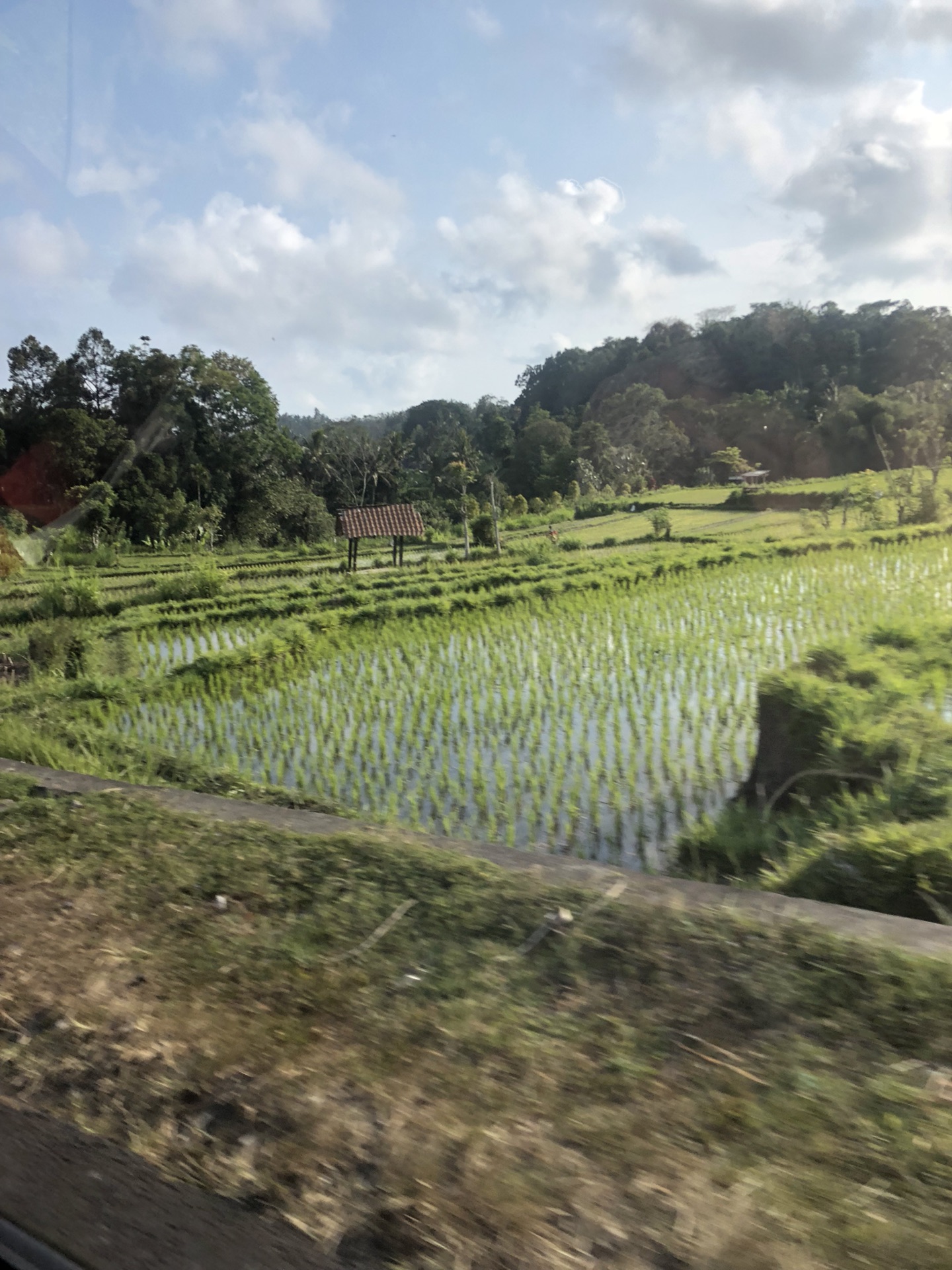 巴釐島自助遊攻略