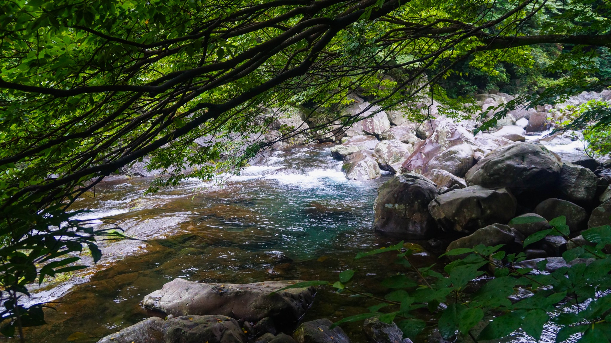 濟州島自助遊攻略