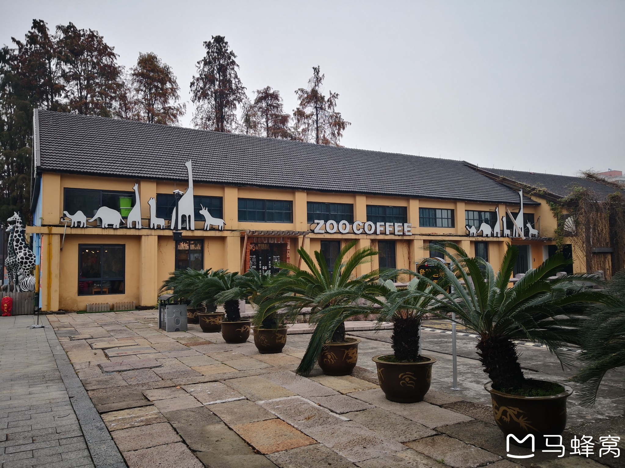 12月15日周六杭州京杭大运河边的运河天地公园毅行