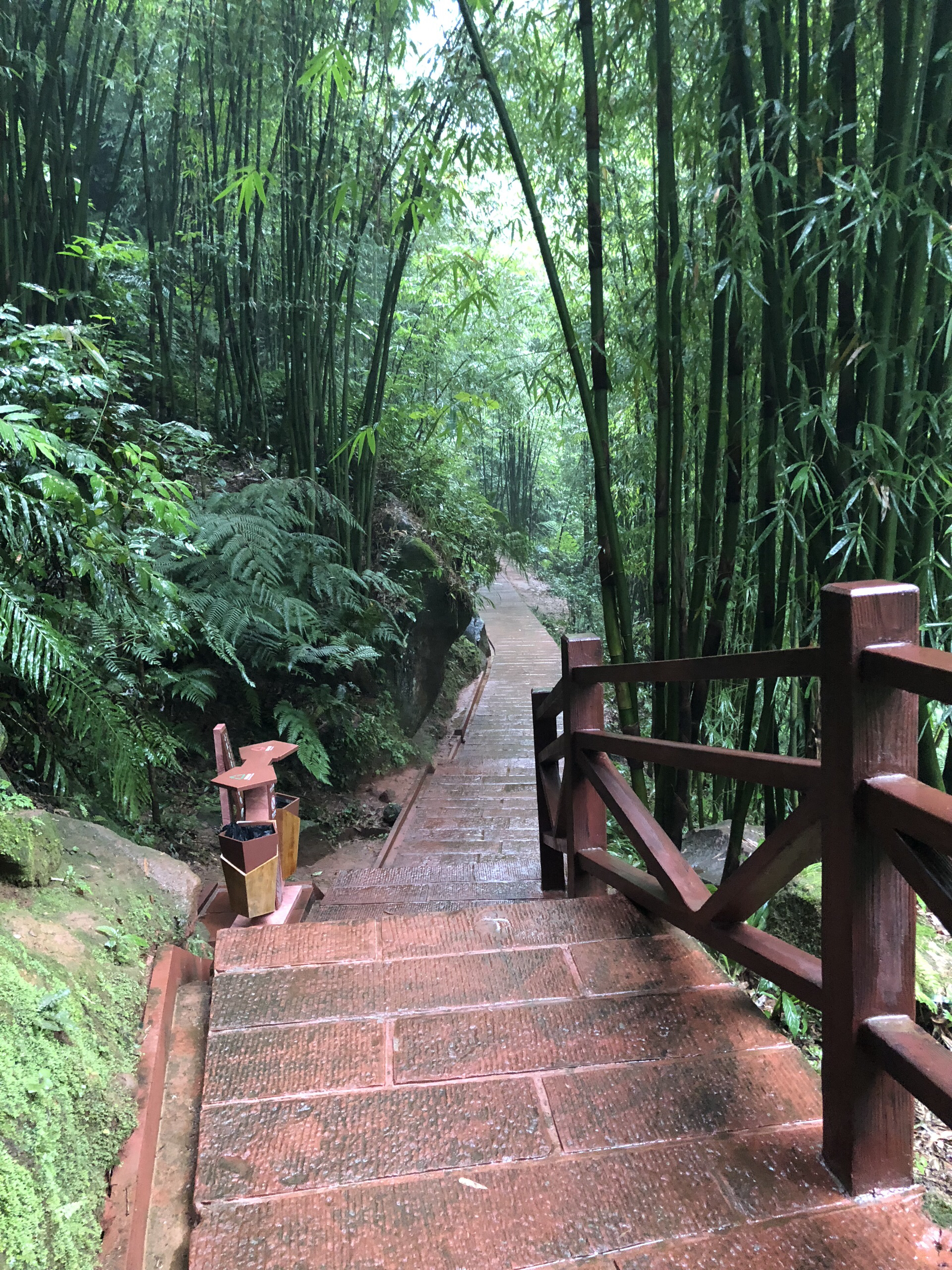 赤水生命谷景区