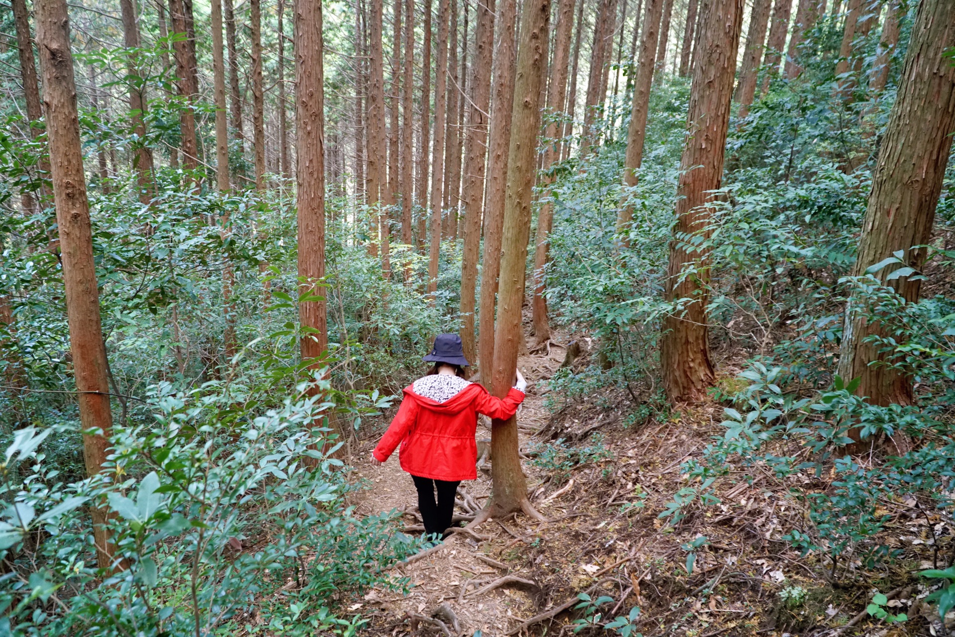 鹿兒島自助遊攻略