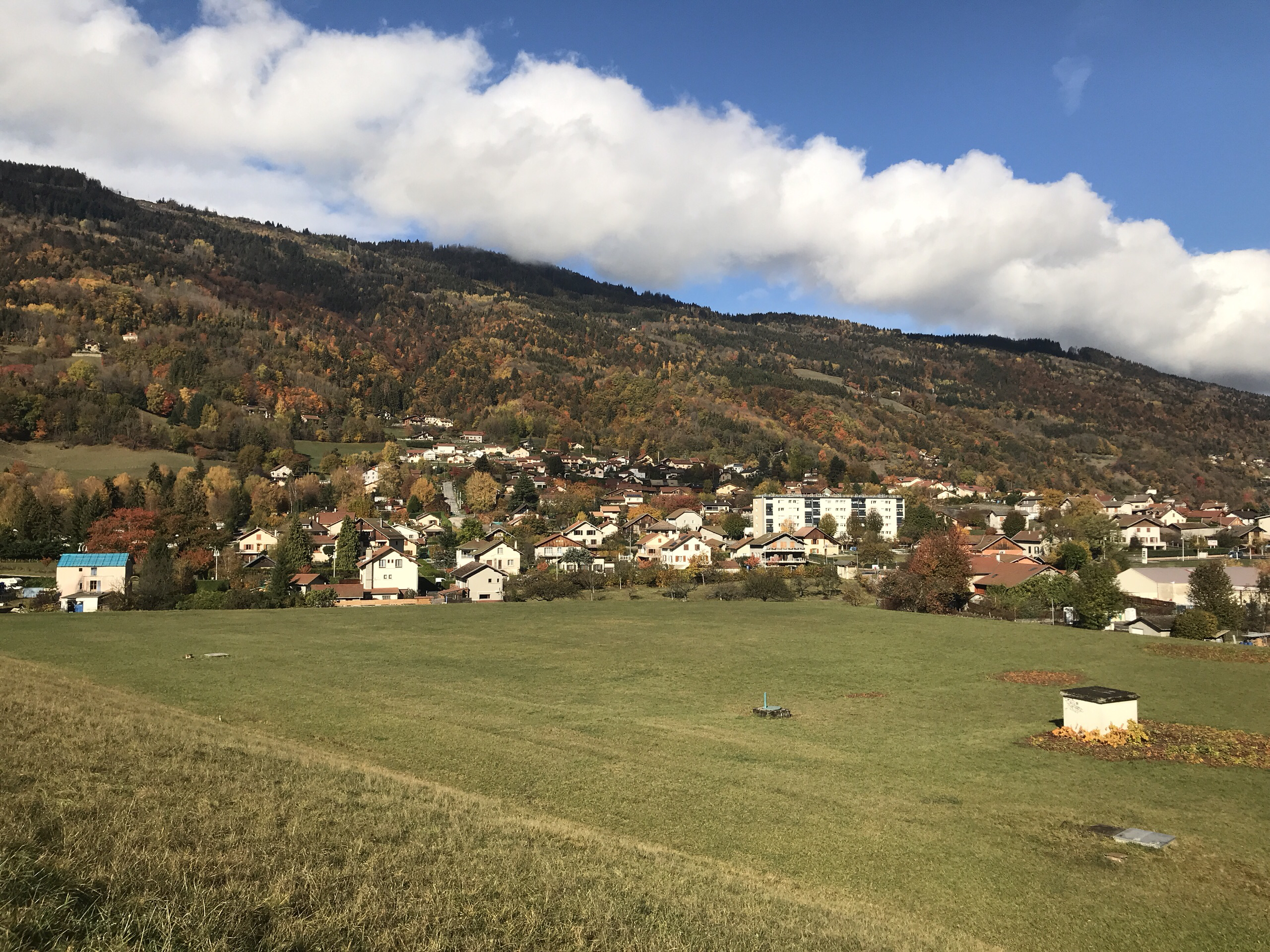 伊泽尔省美食-Hotel and Restaurant Les Alpes