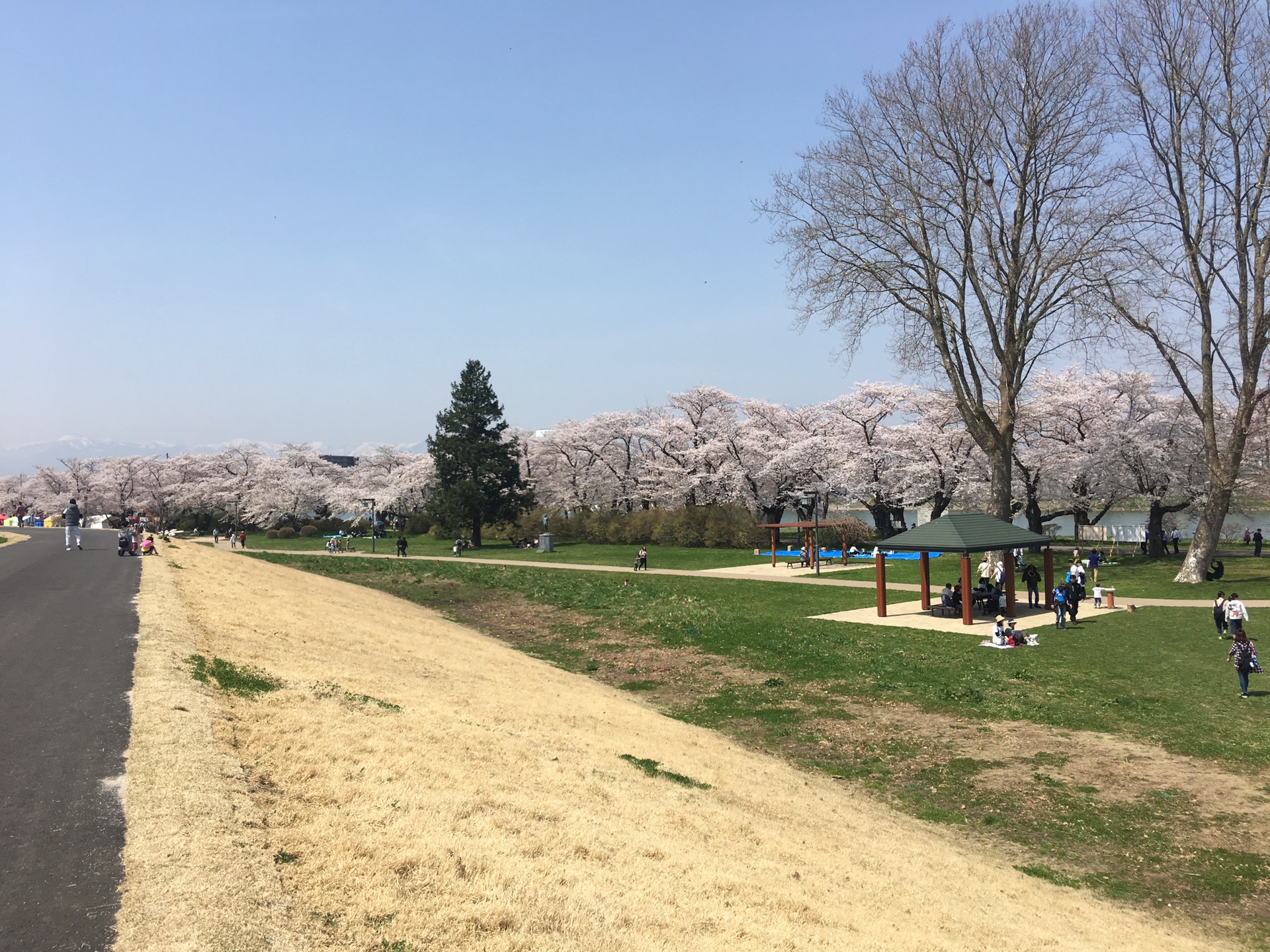 青森縣自助遊攻略