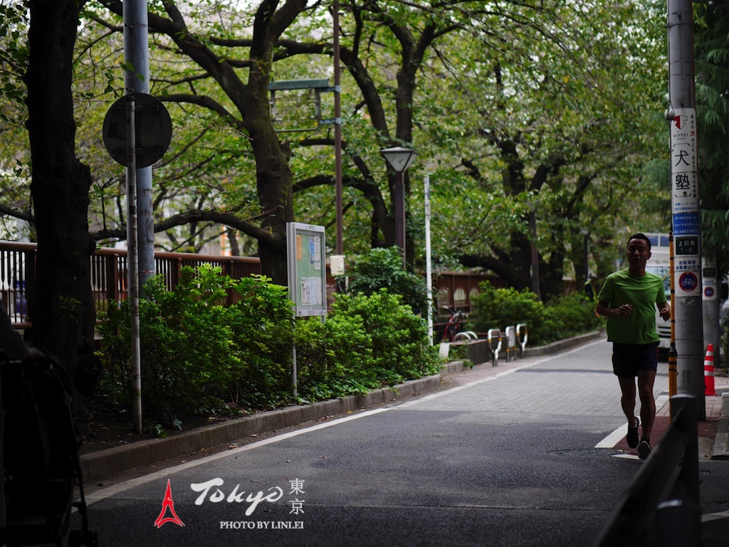 東京自助遊攻略