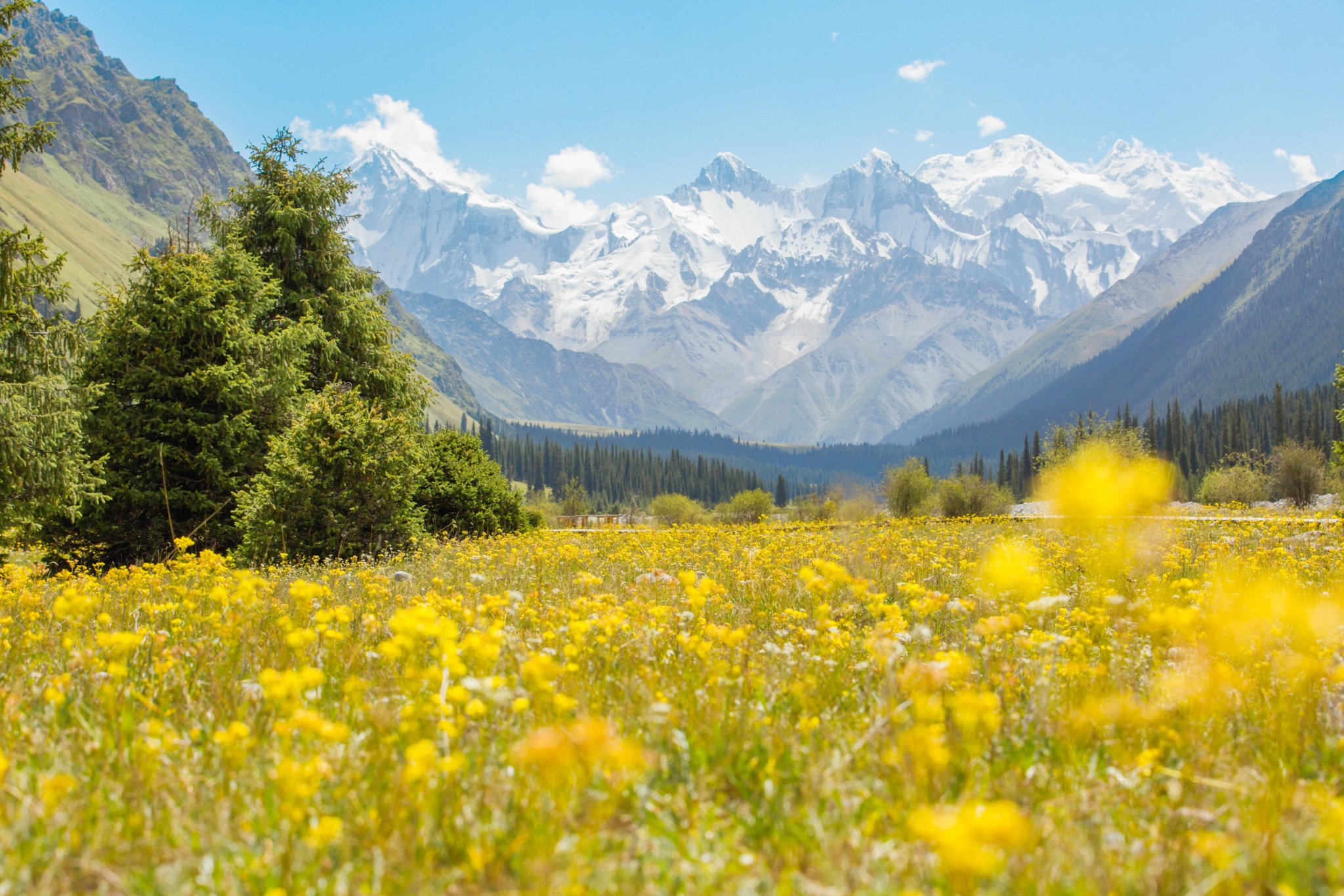 夏特大峡谷游记