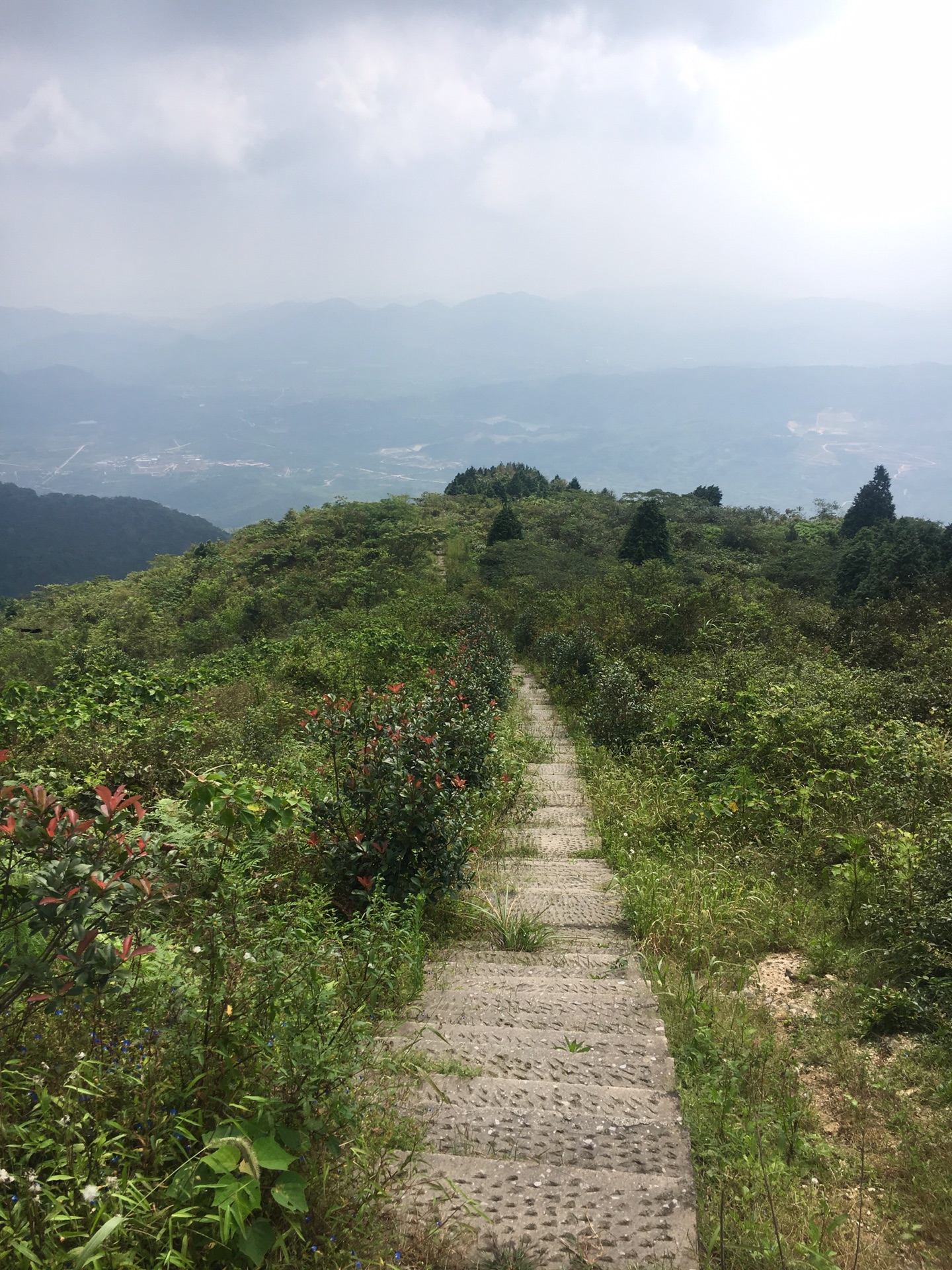 宁波徒步之金峨山一日游登顶金峨主峰