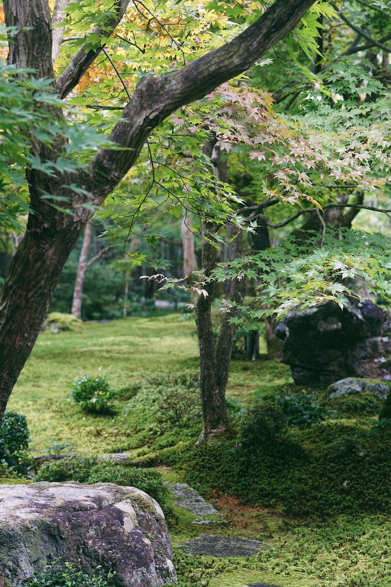 京都自助遊攻略