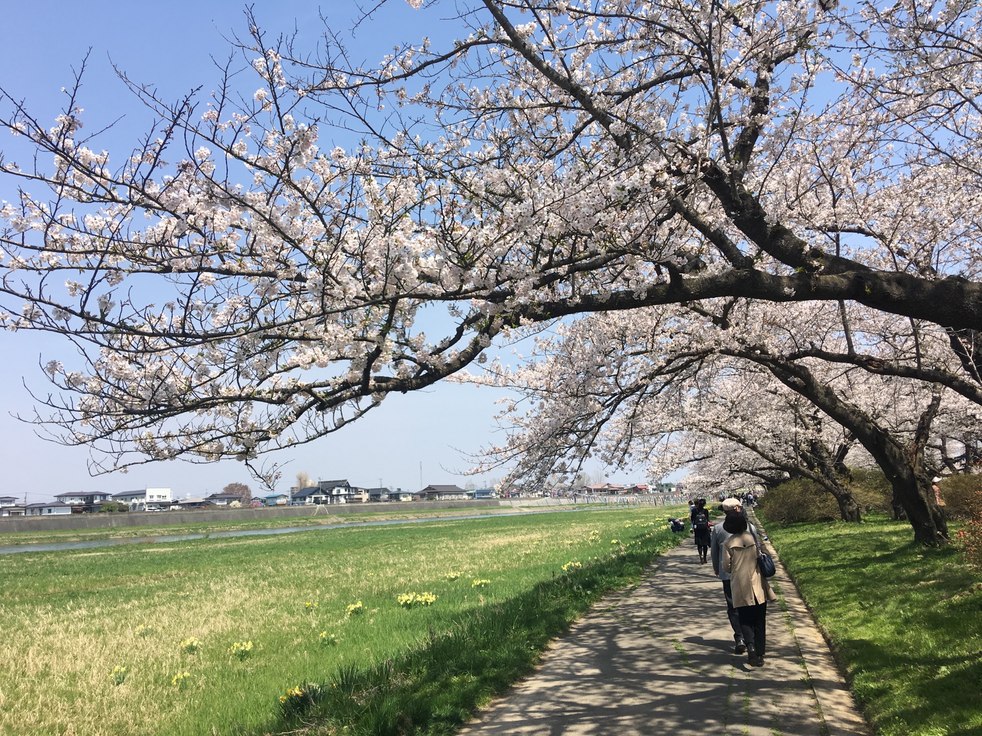 青森縣自助遊攻略