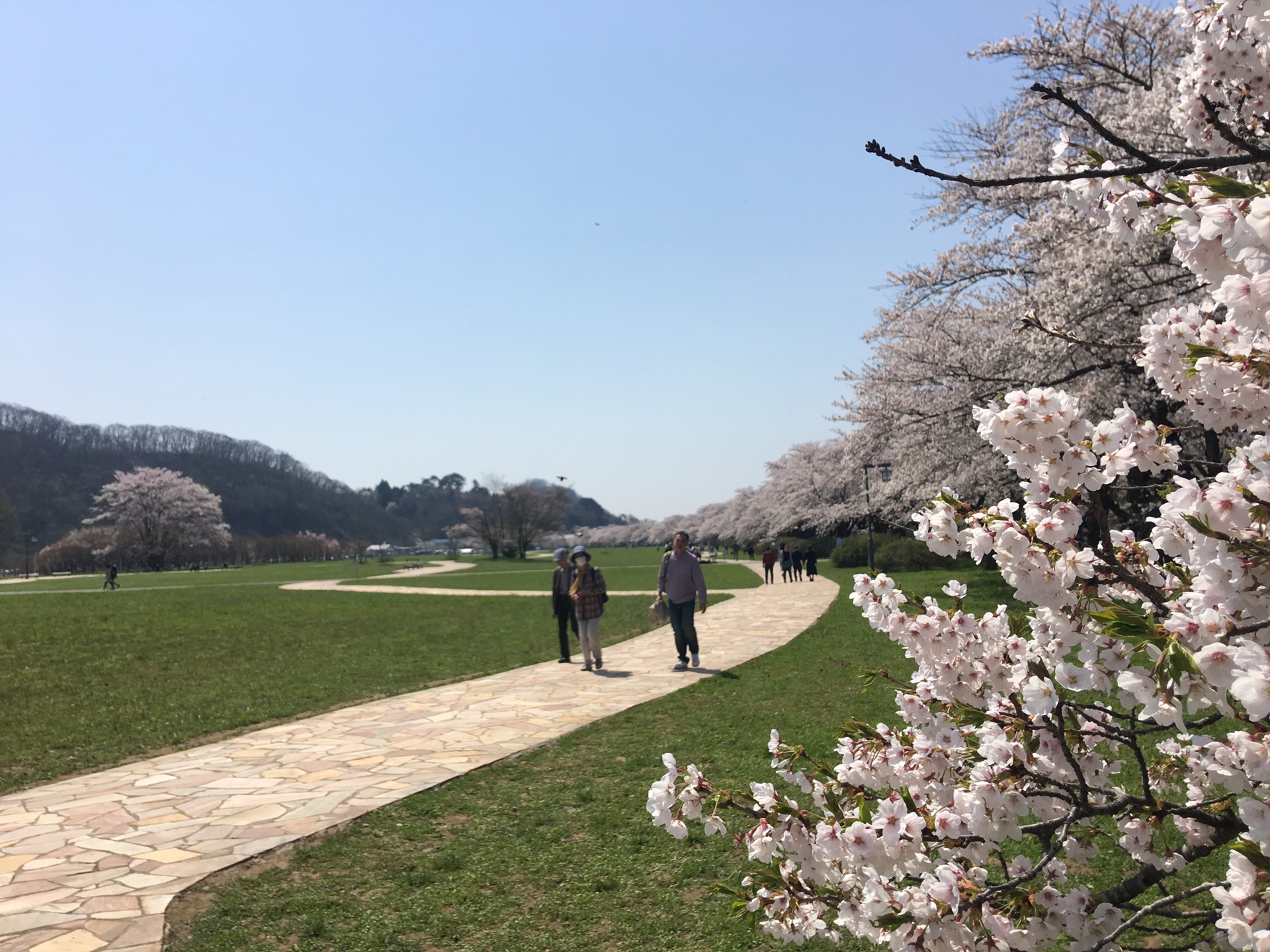 青森縣自助遊攻略