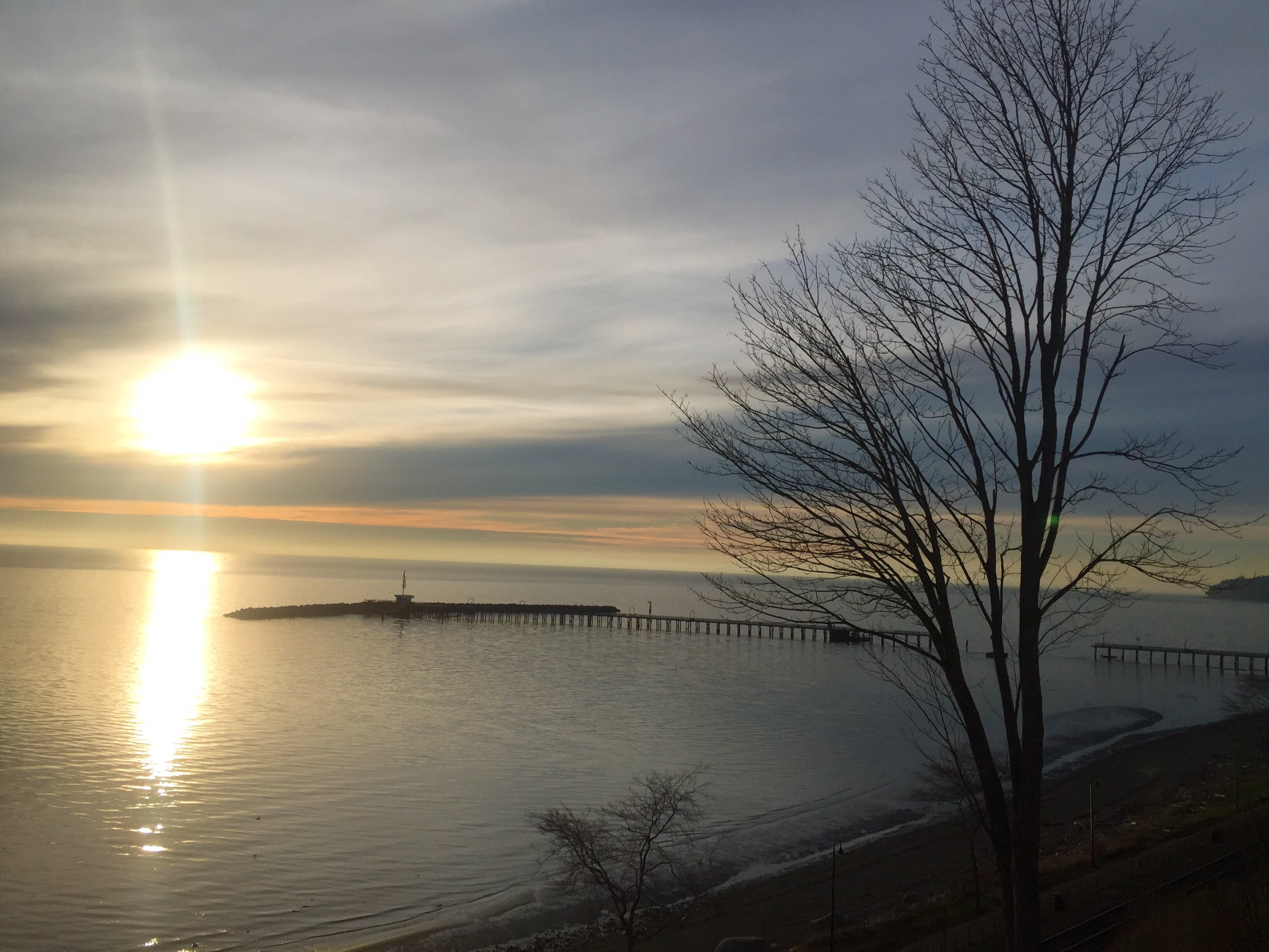 White Rock Totem Poles