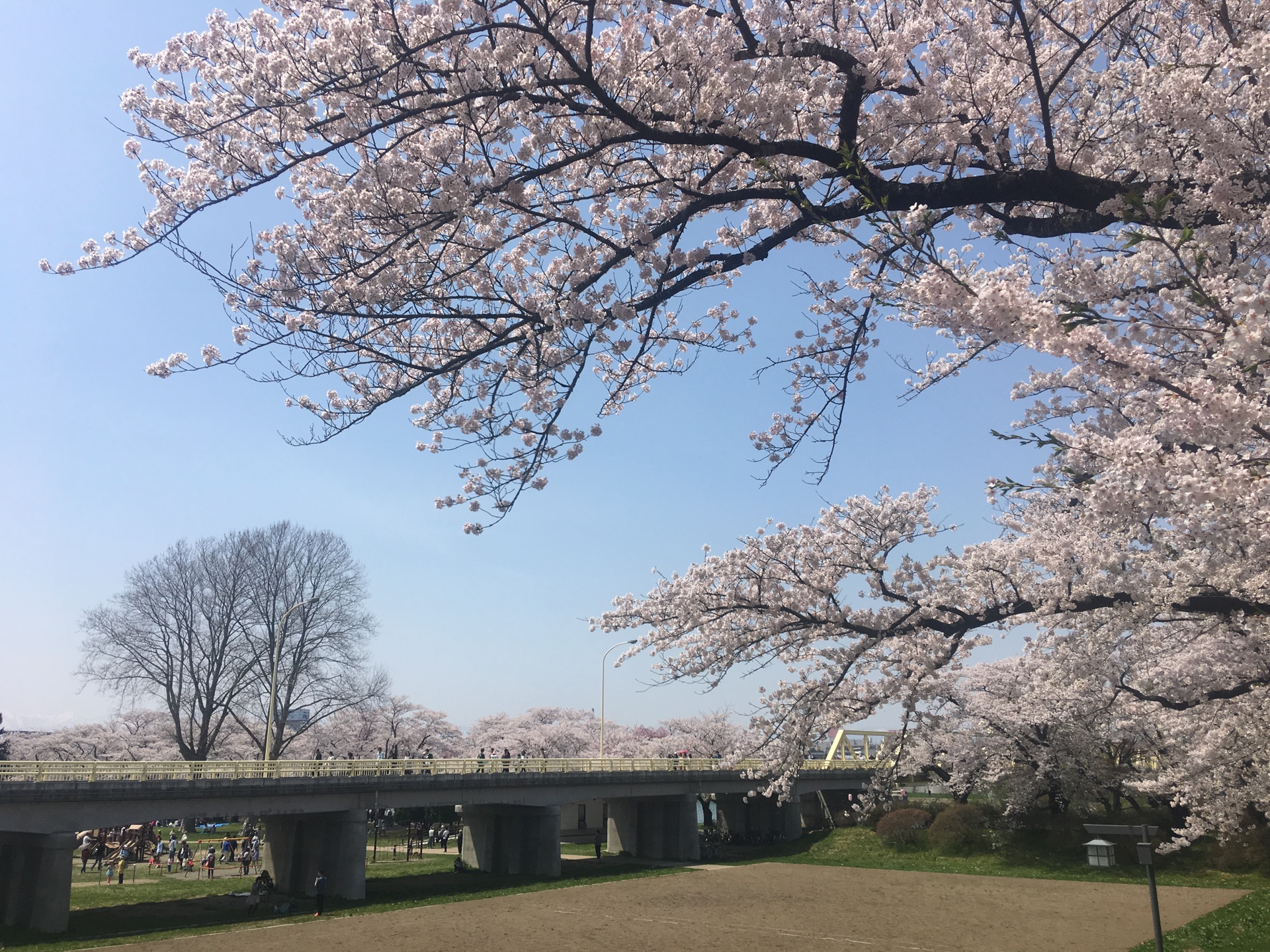 青森縣自助遊攻略