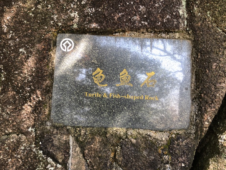 龟鱼石