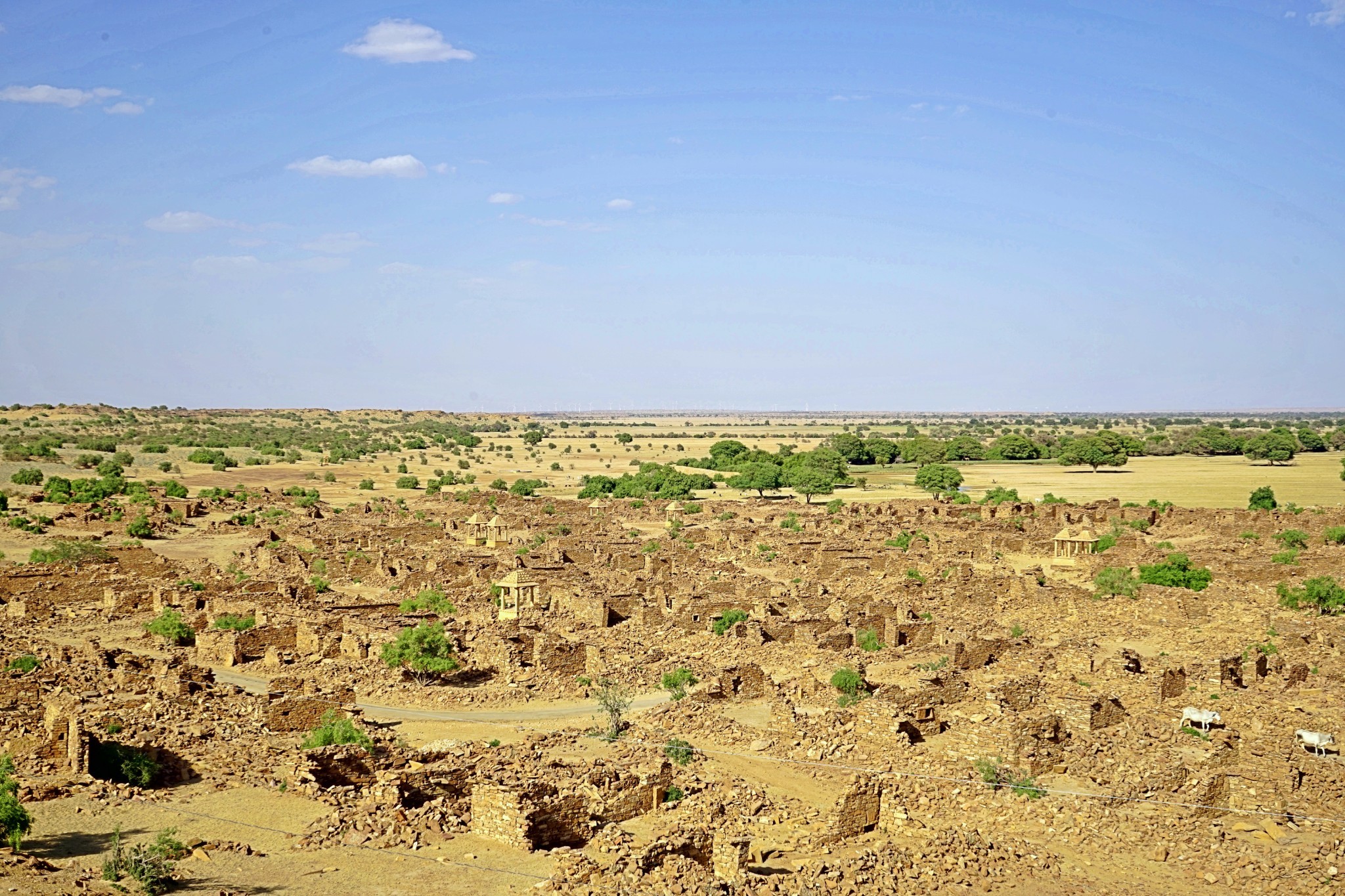 印度真切的人文体验——旅塔尔沙漠2日晒骆驼之旅