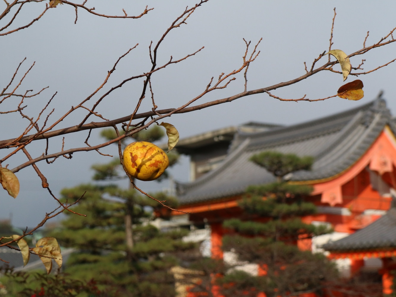 富士山自助遊攻略