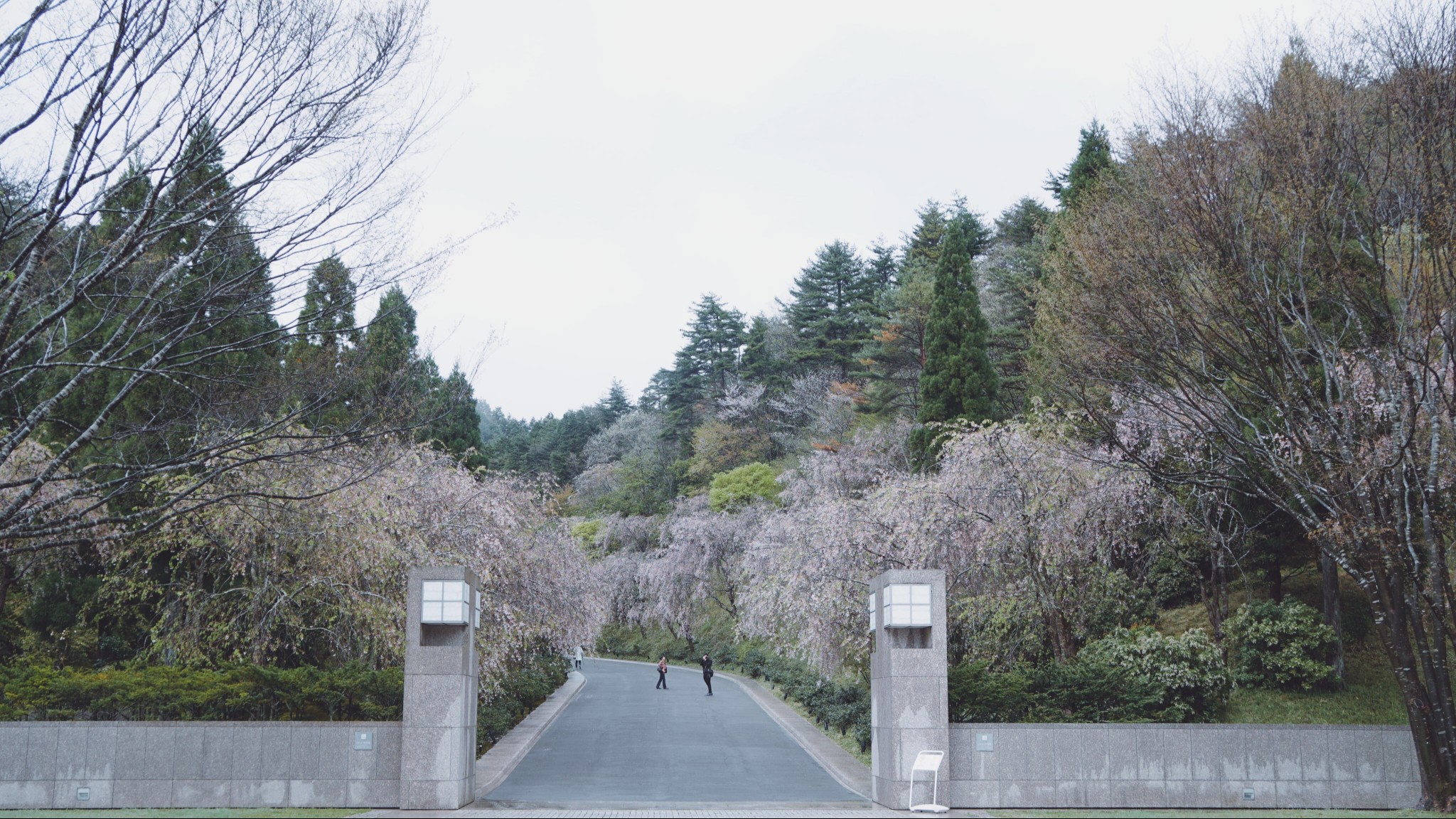 京都自助遊攻略