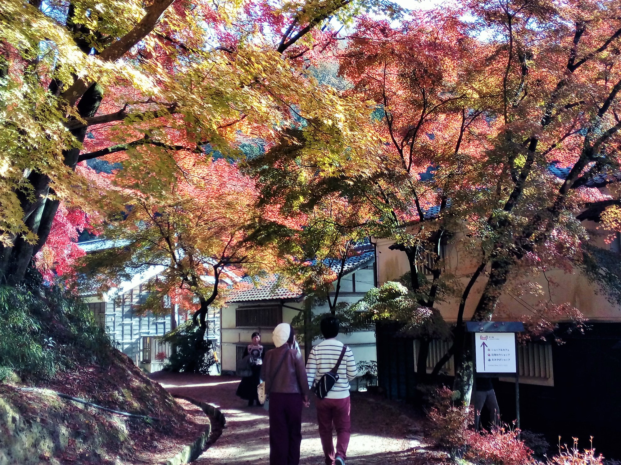 名古屋自助遊攻略