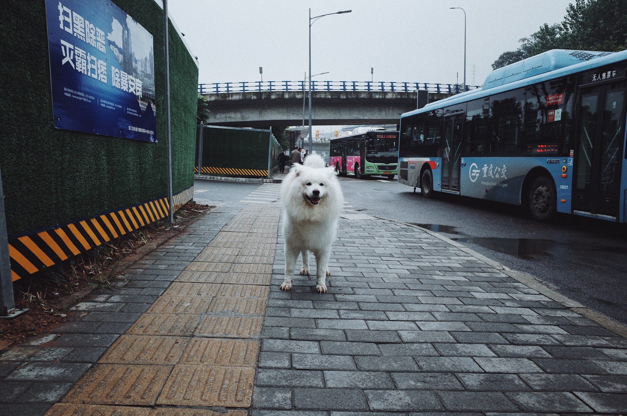 重慶自助遊攻略